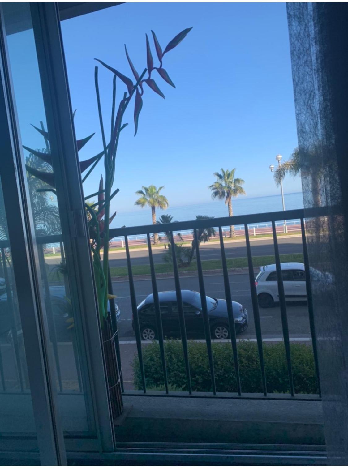 Promenade Des Vue Nice