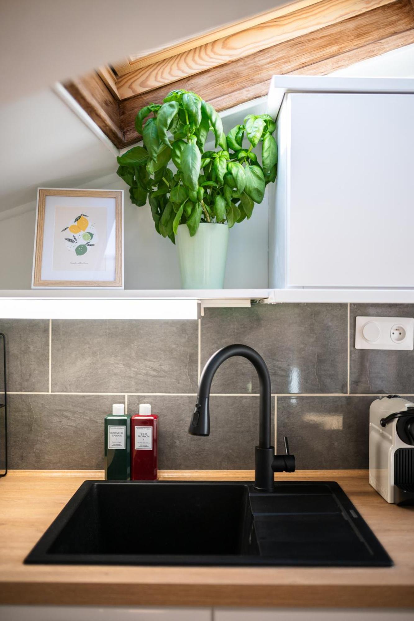 Apartment Charme & Soleil Au Dernier Etage Liberation