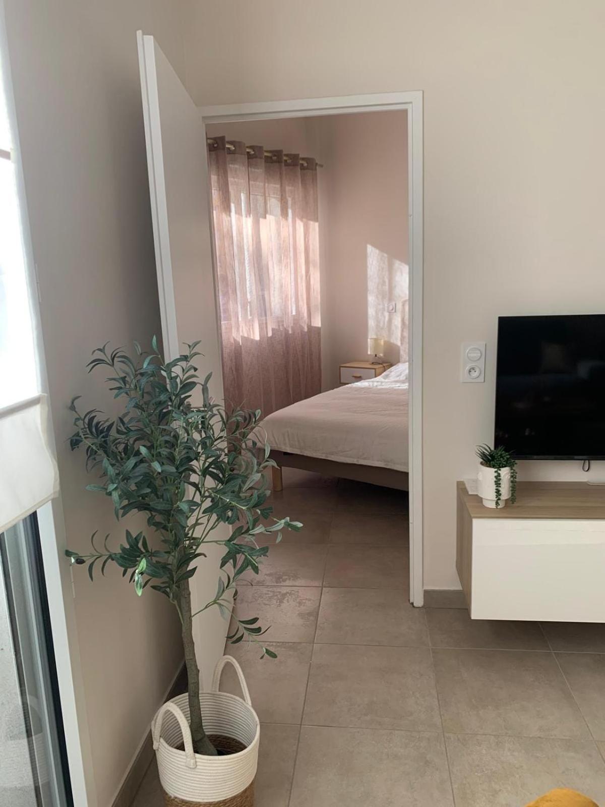 Apartment Virgil Barel Nice