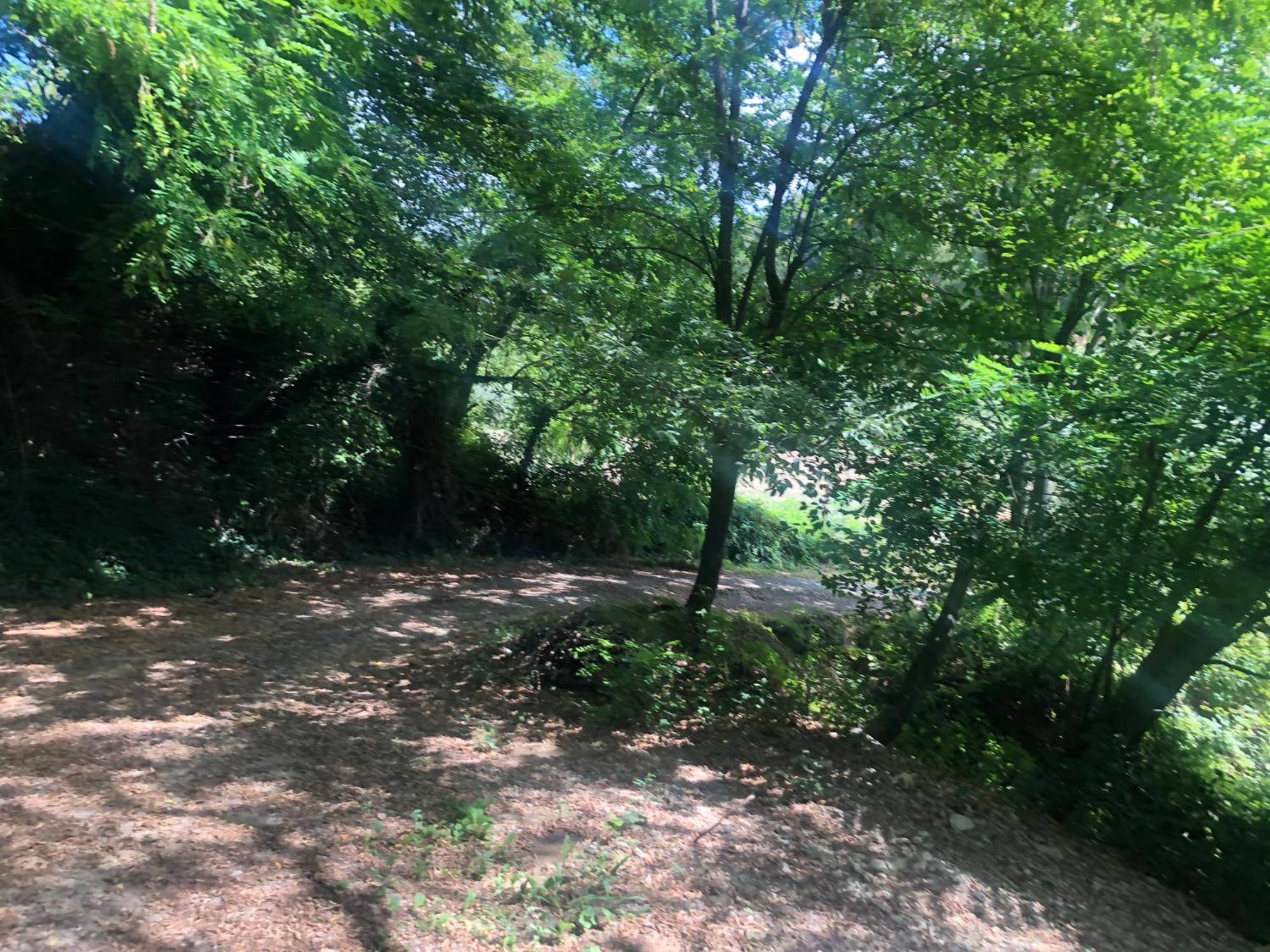 Campsite Foret Proche Centre Nice
