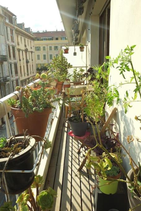 Apartment Sunny Garibaldi Port, Private Parking