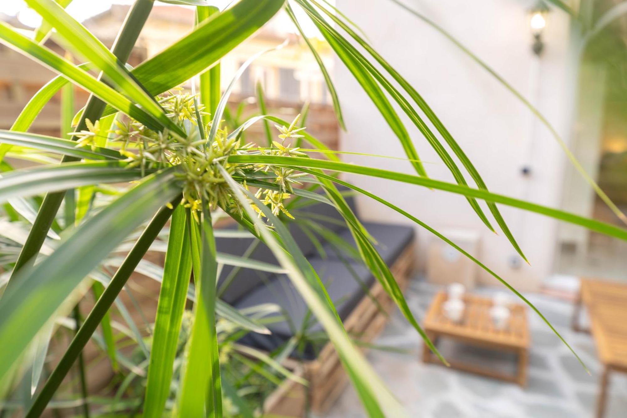 Apartment Magnifique Rez De Jardin Port Nice