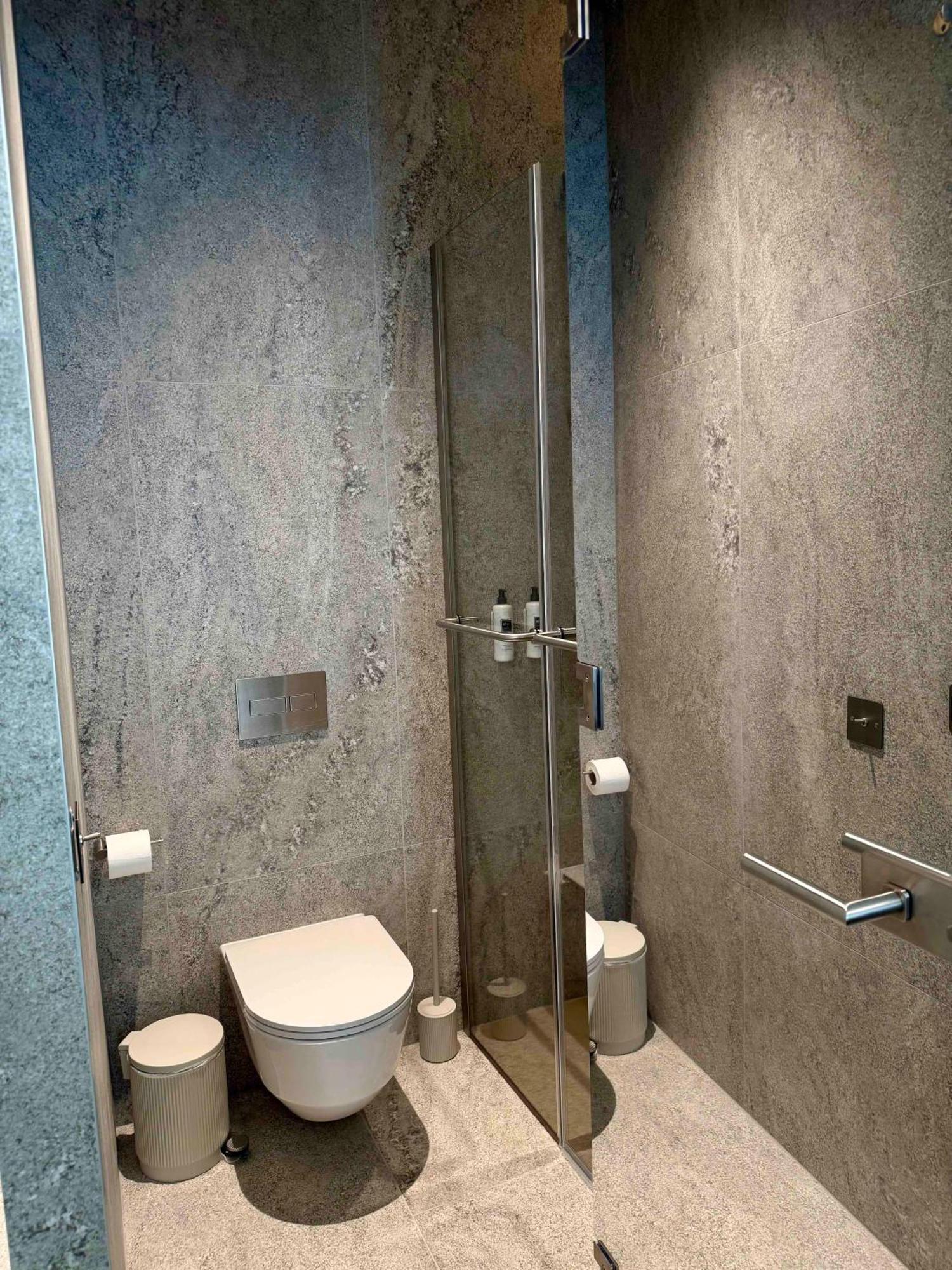 Notre Dame Renovated 2025 * Nice