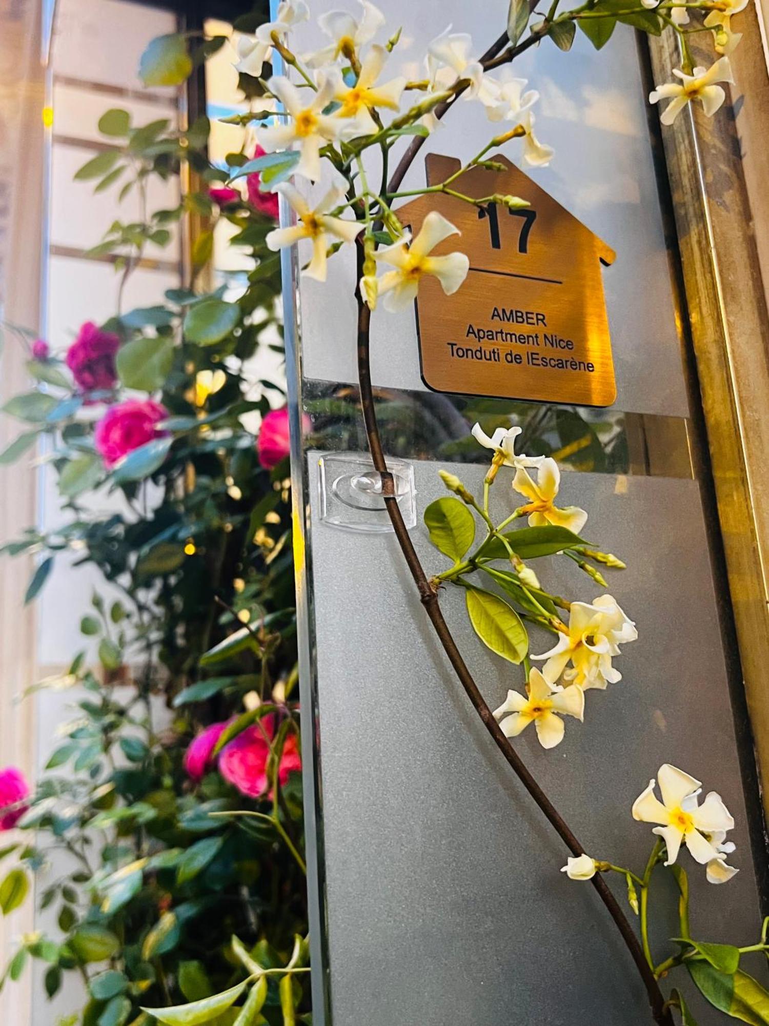 Amber - Highlights And Apartment *