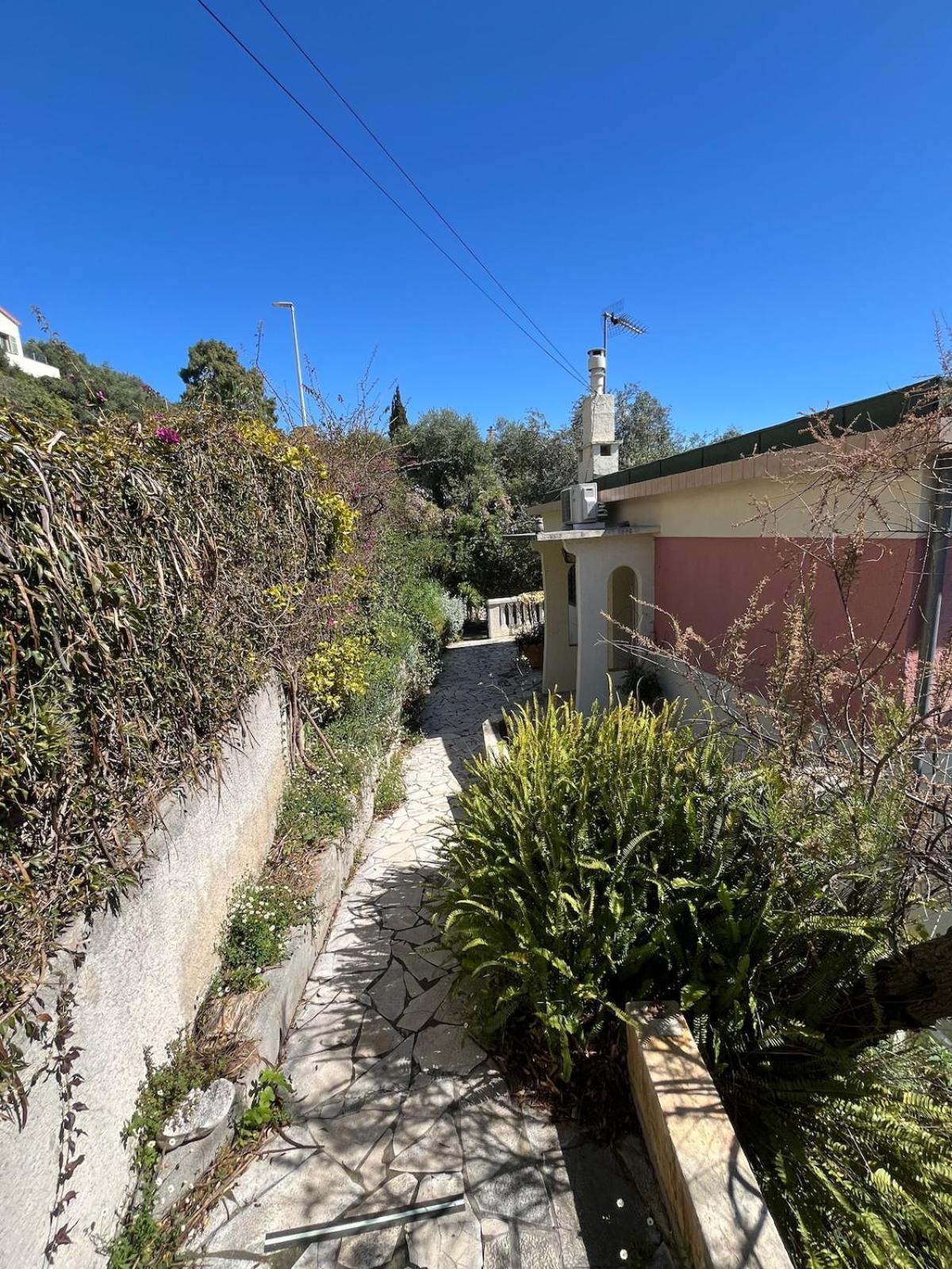 Seaside Jungle Retreat Villa Nice