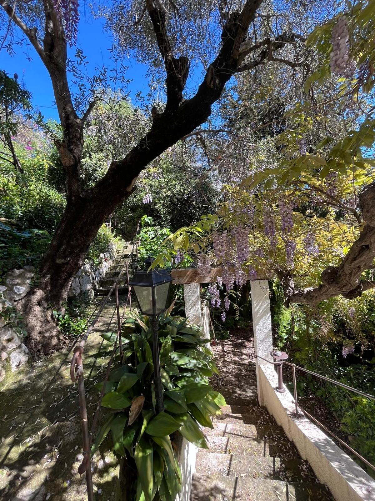 Seaside Jungle Retreat Nice