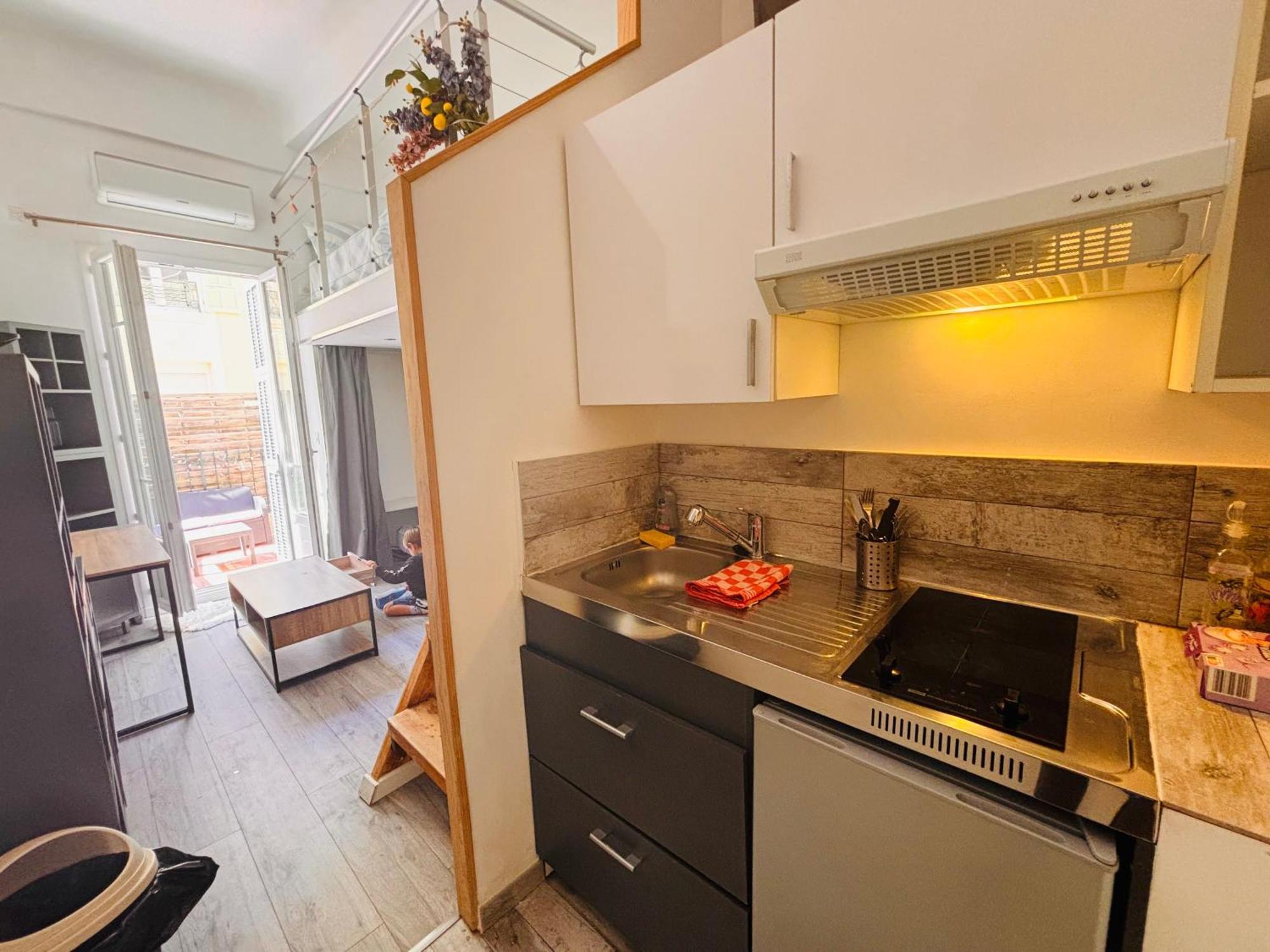 Apartment Berlioz Terrasse Nice