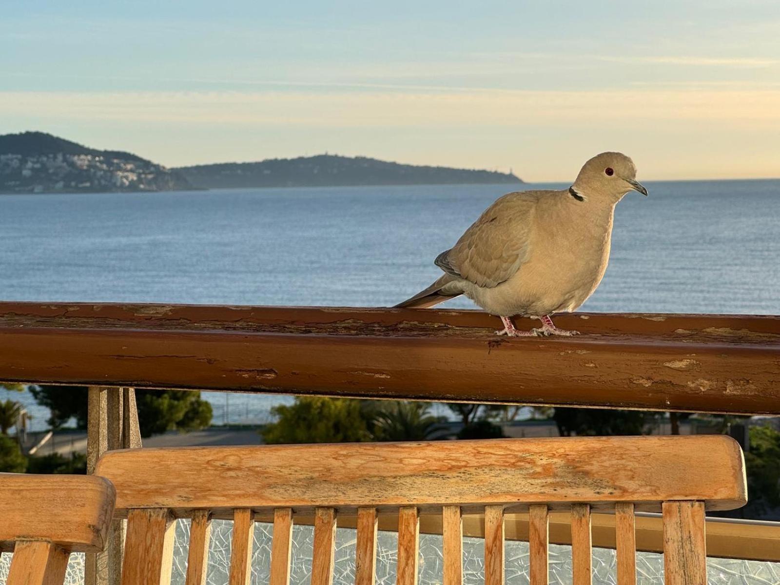 Nice, Exceptional Sea View, Floor, Parking Apartment *