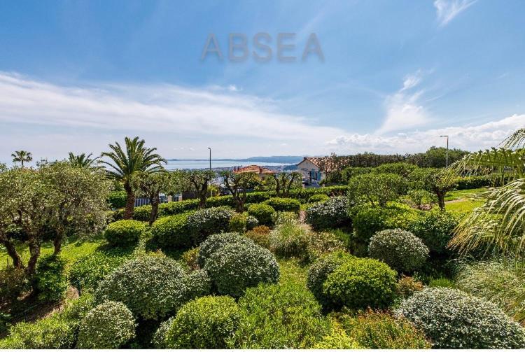 Absea Belles Terres 1'