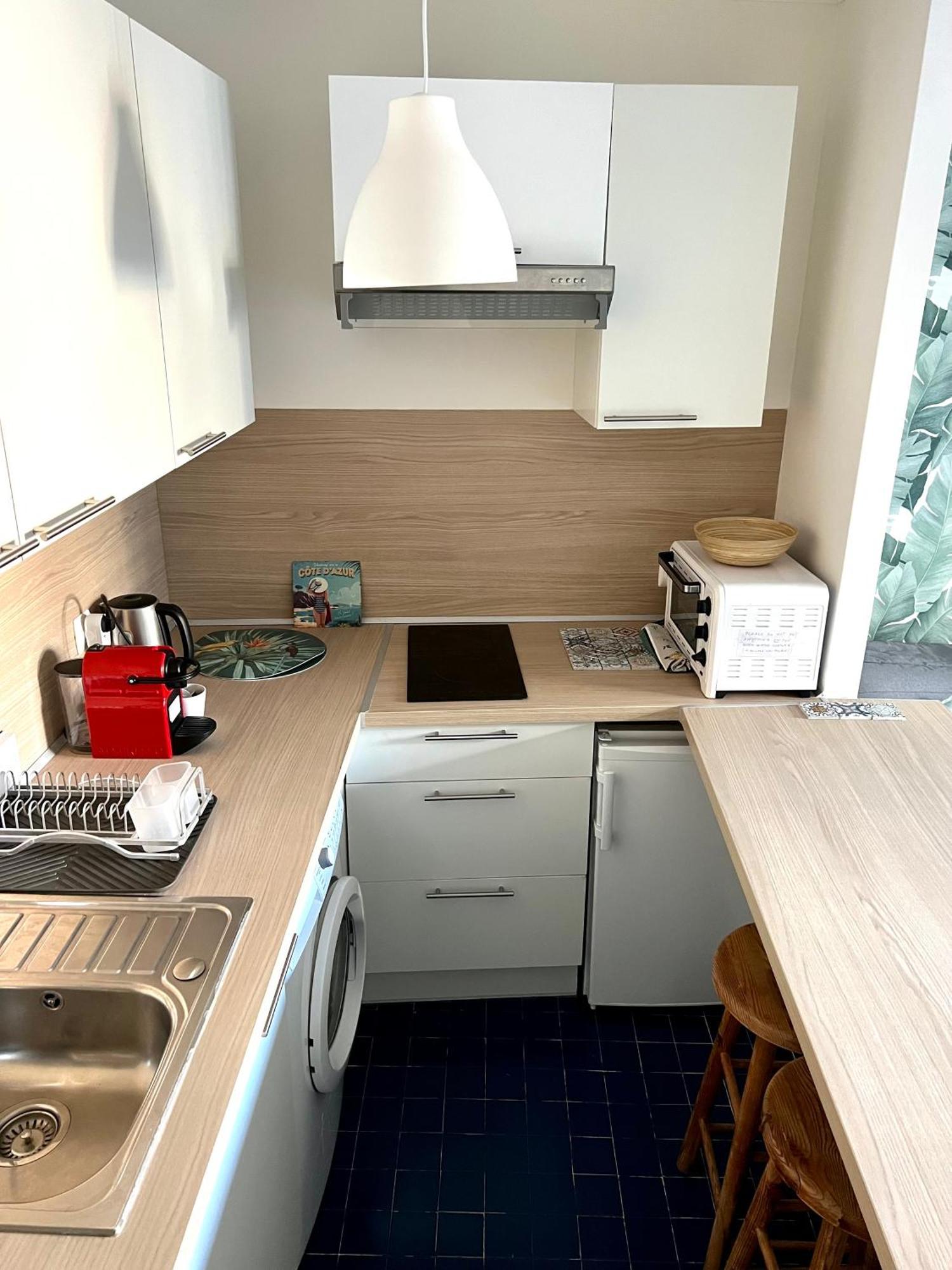 Palm Leaf Apartment Nice