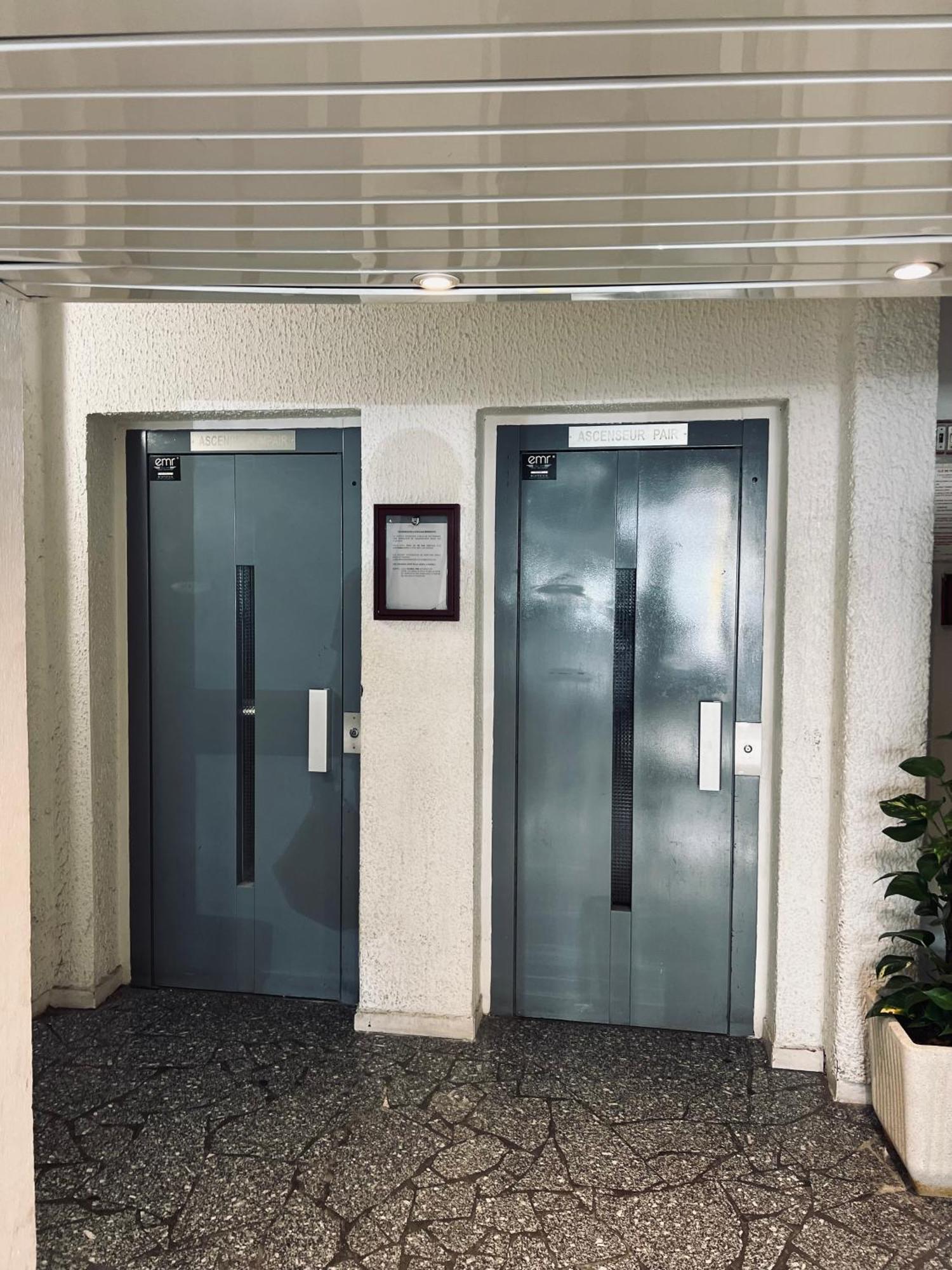 Palm Leaf Apartment Nice