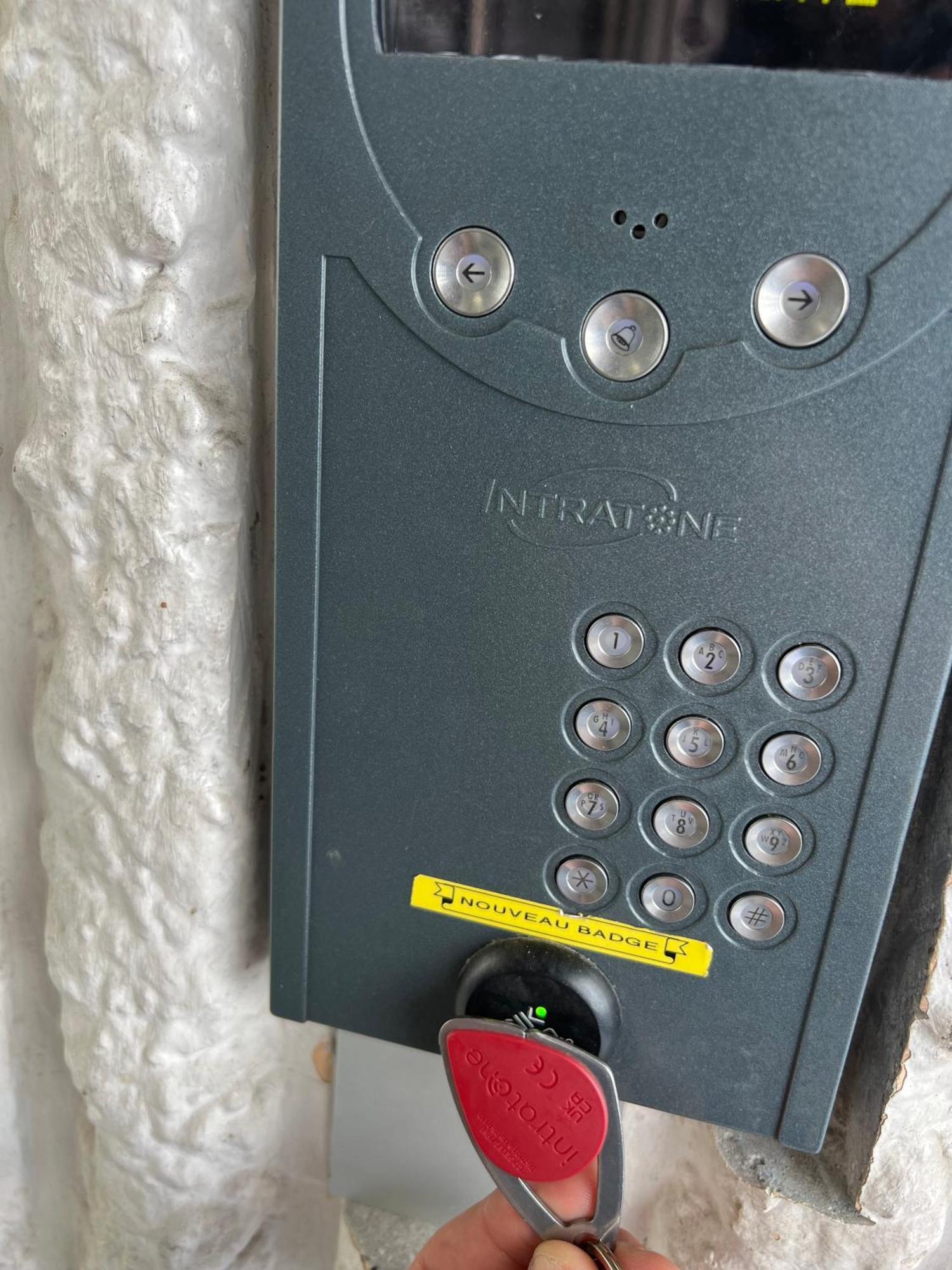 Palm Leaf Apartment Nice