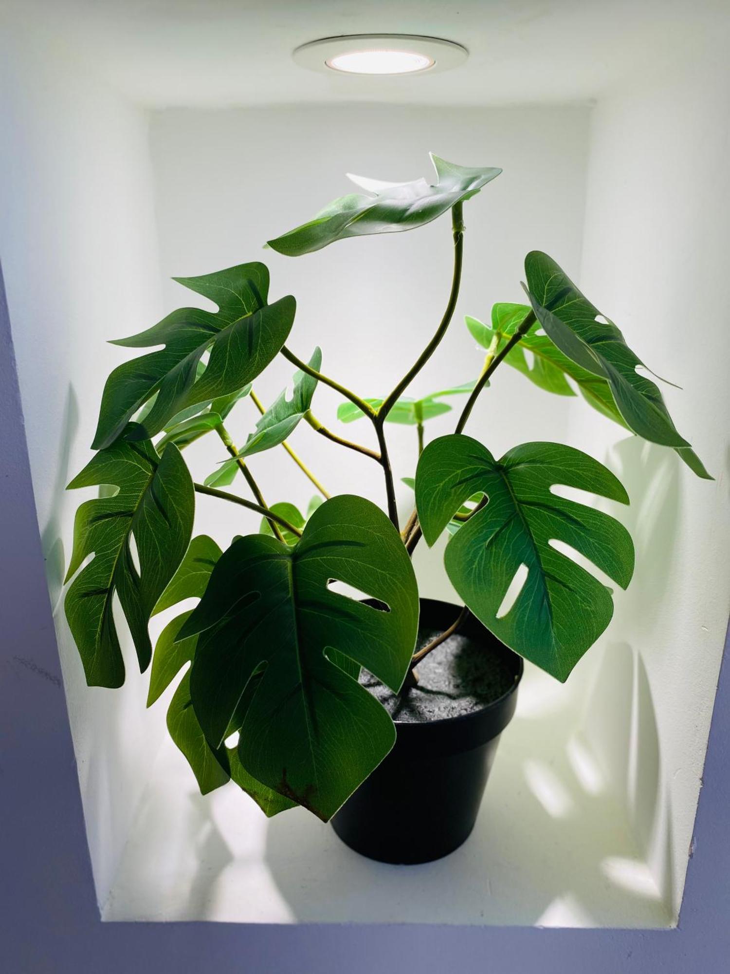 Apartment En Duplex Vieux