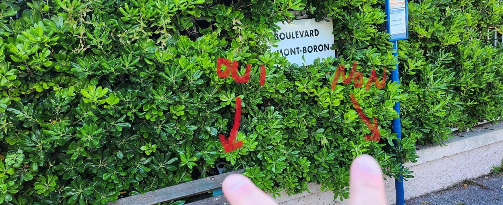 Studio- Mont Boron, Piscine Sur La Apartment Nice