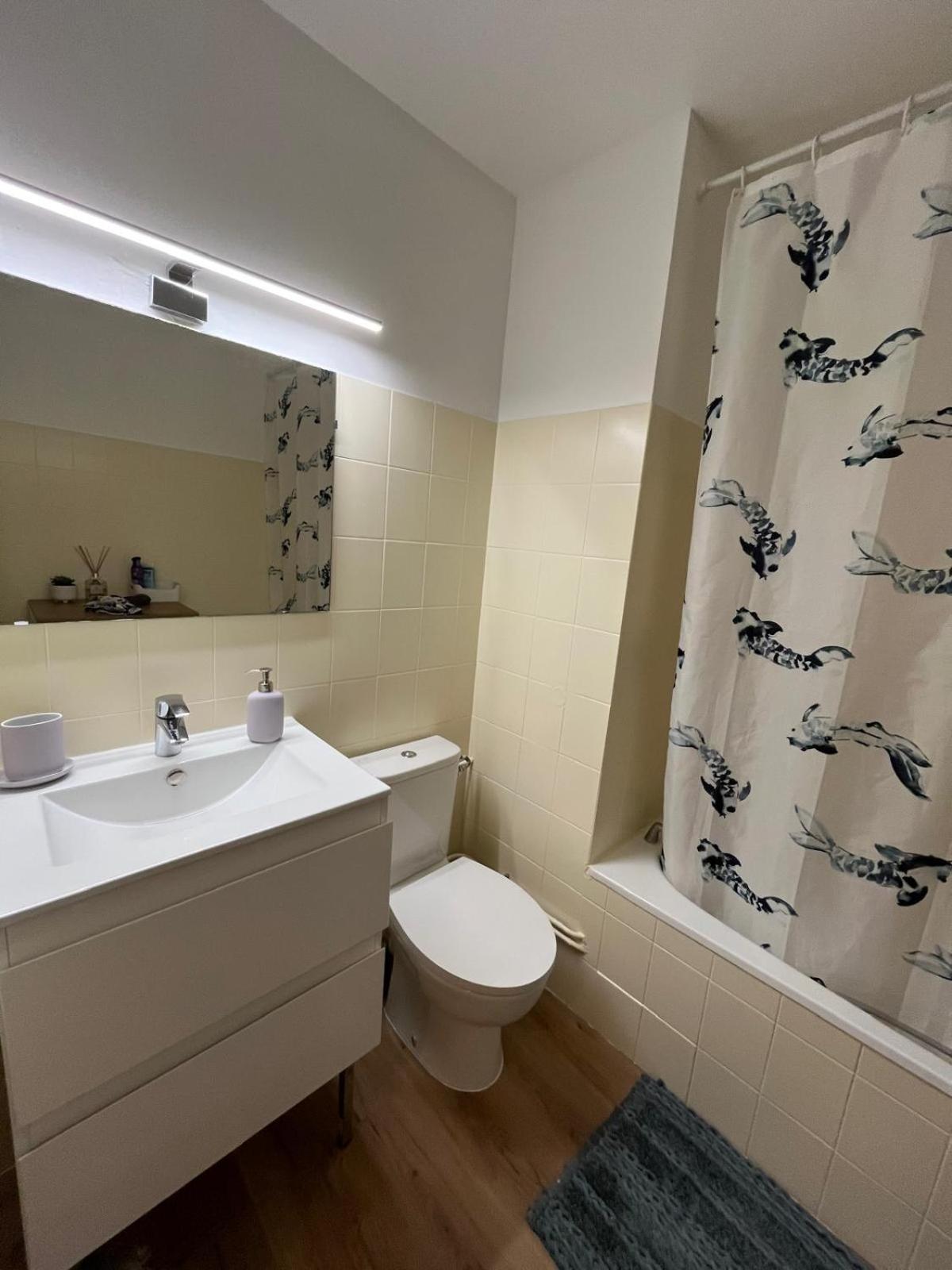 Proche Promenade Des Nice