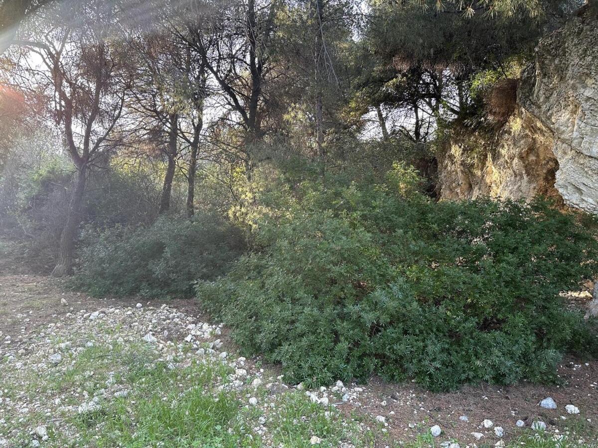 Breathe Guest-house Apartment Nice