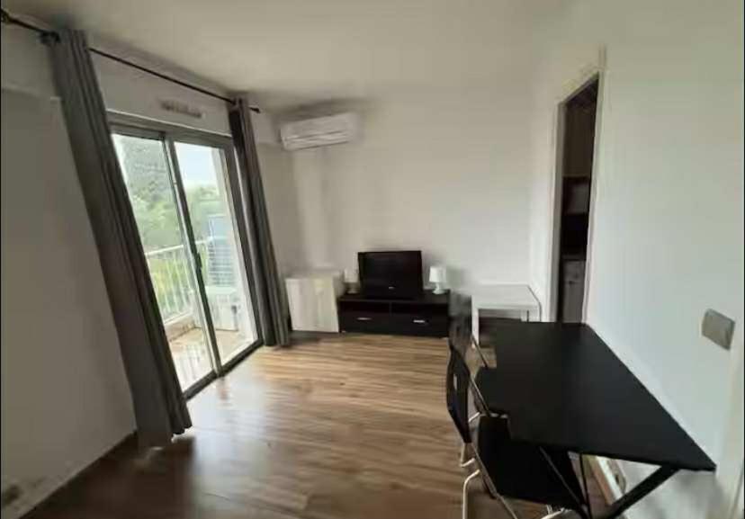 Apartment Famous Vacation Nice