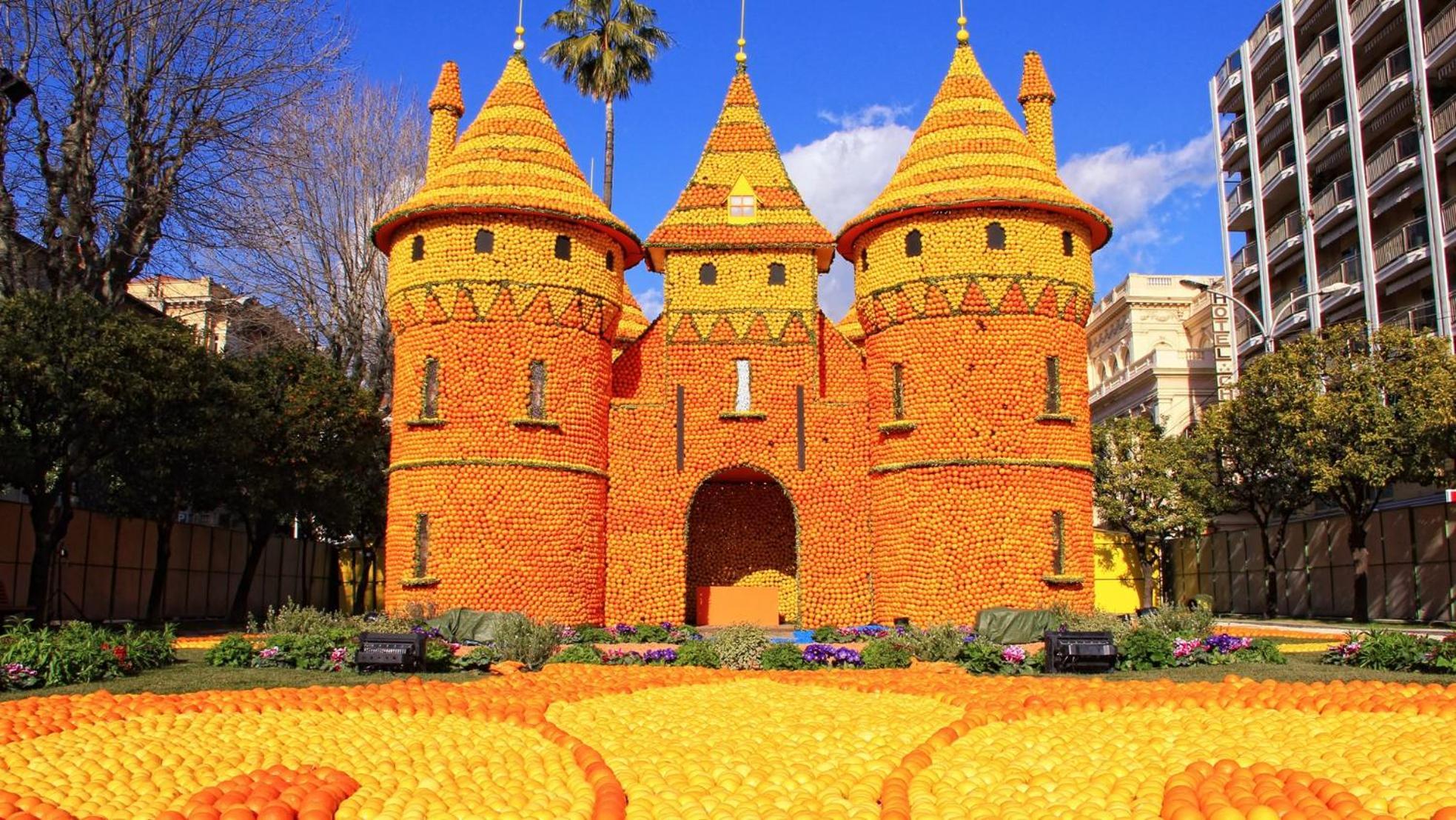 Nid Perche Avec Apercu A Pied !