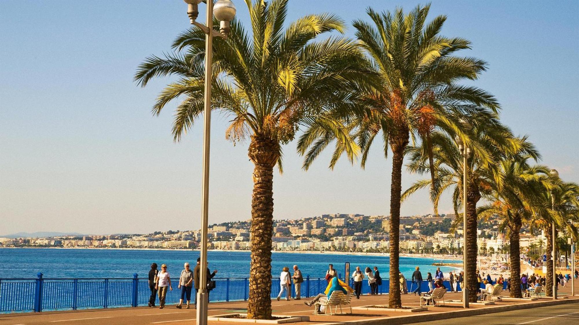 Apartment Nid Perche Avec Apercu A Pied !