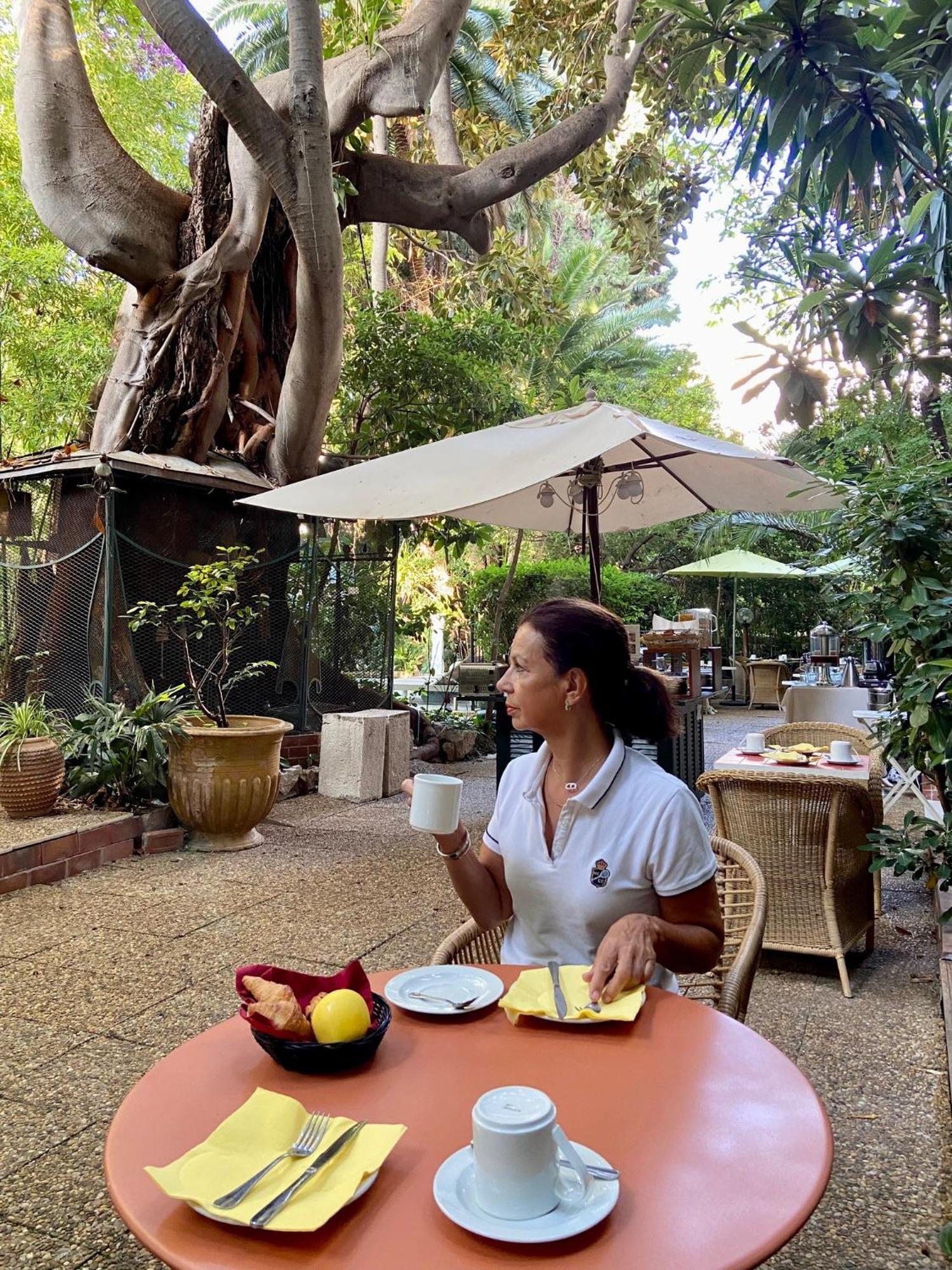 Le Windsor, Jungle Art