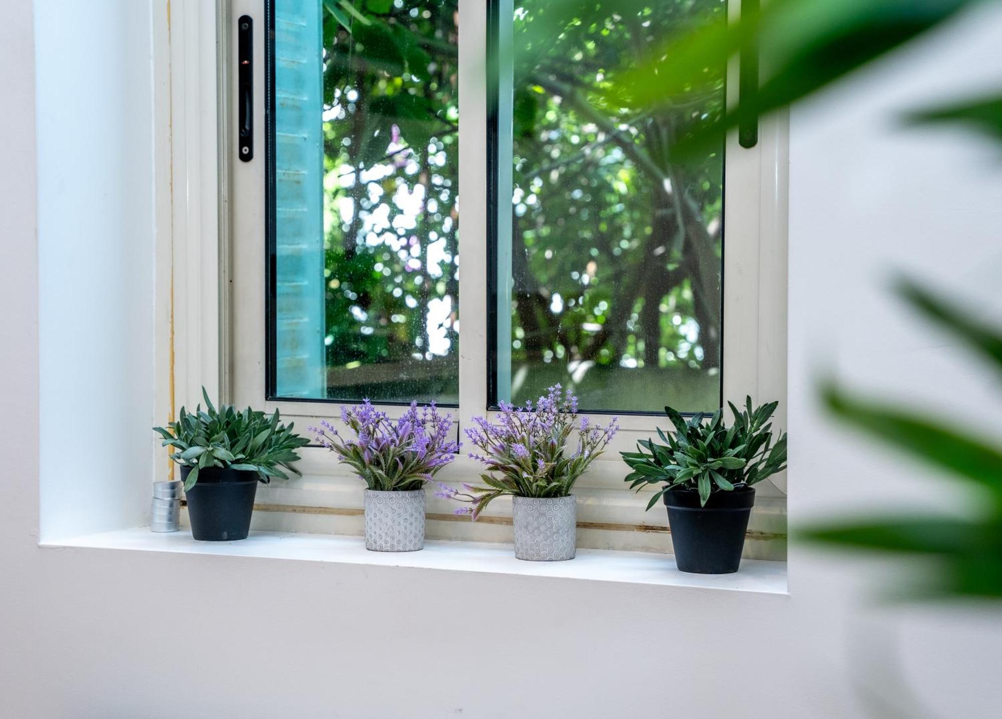 Duplex Saveria - Terrace - Netflix -