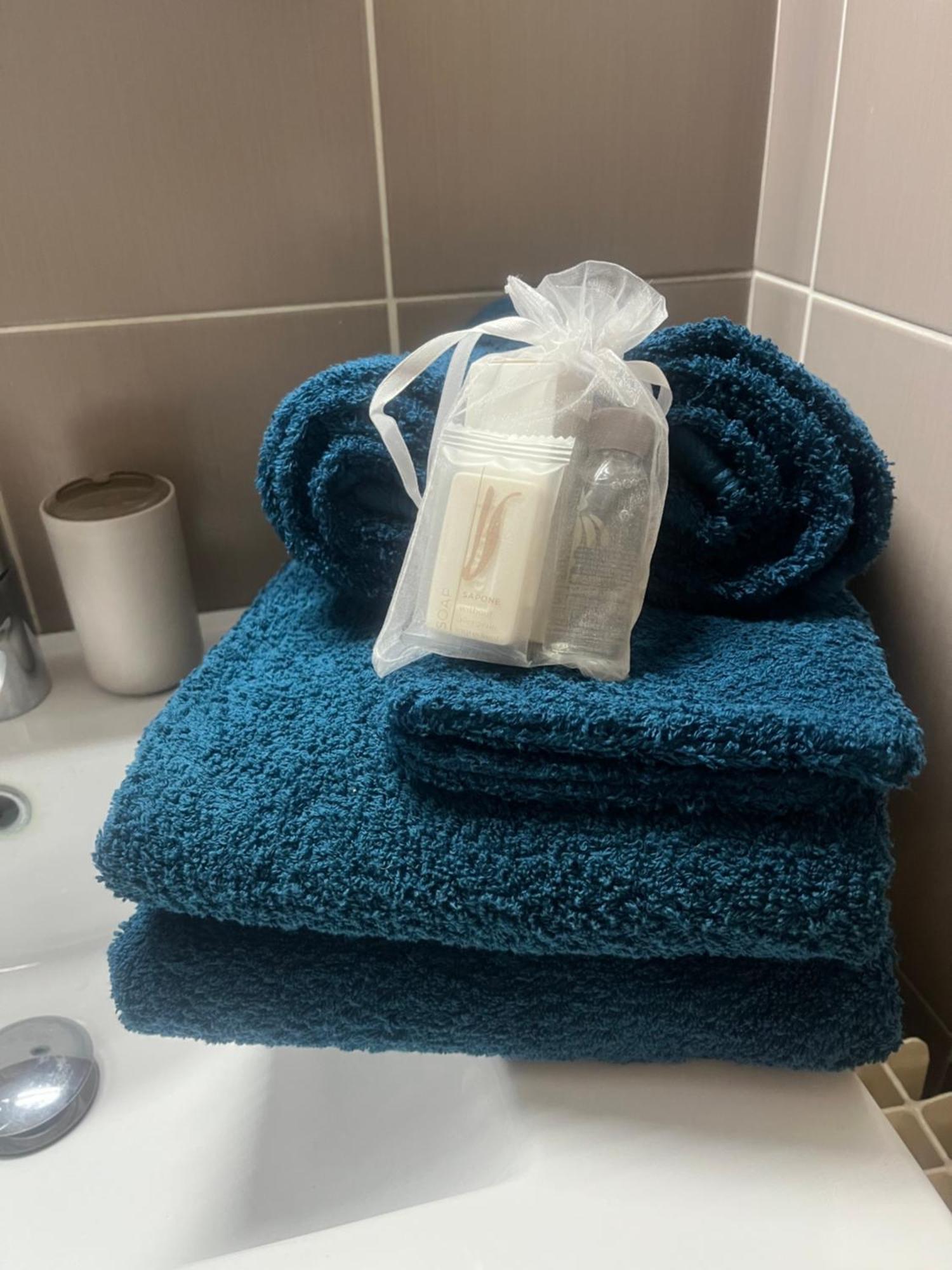 Apartment Piscine Climatisation Tennis Nice