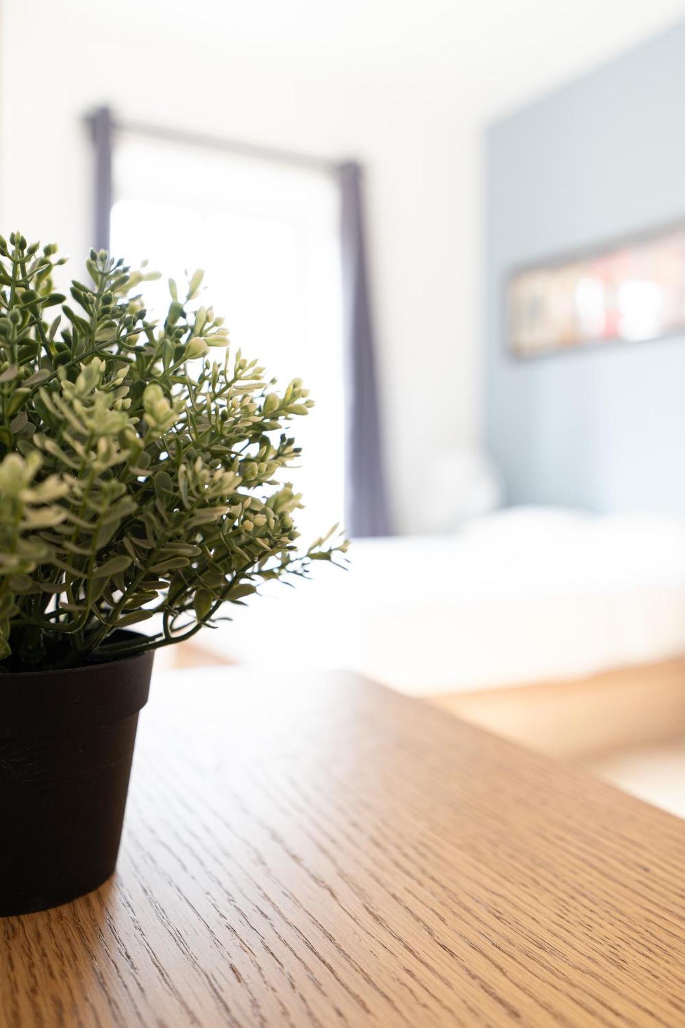 La Nicoise Guest house *