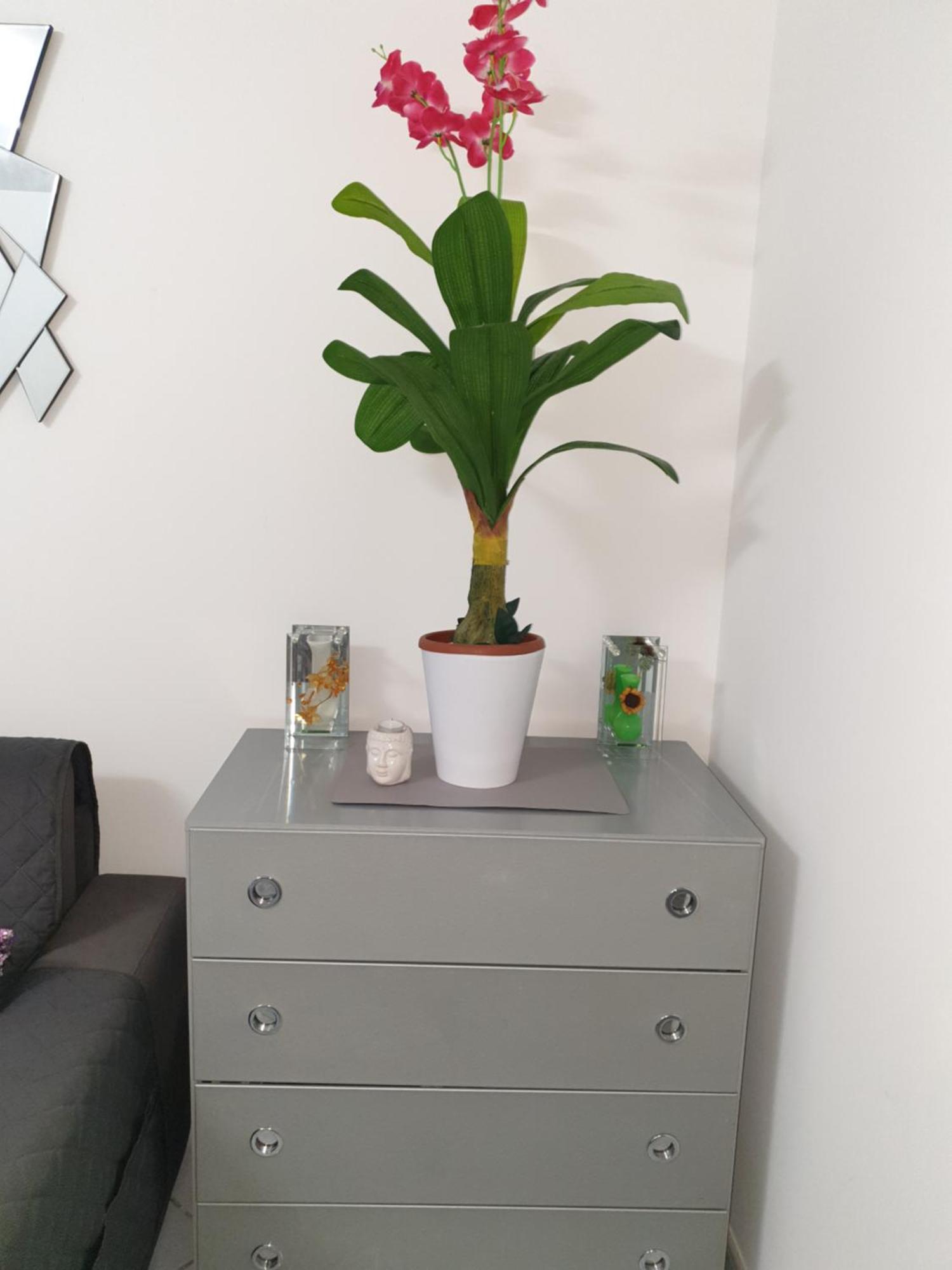 Apartment Place Close To The Ac Air , Wi Fi, Parking Nice