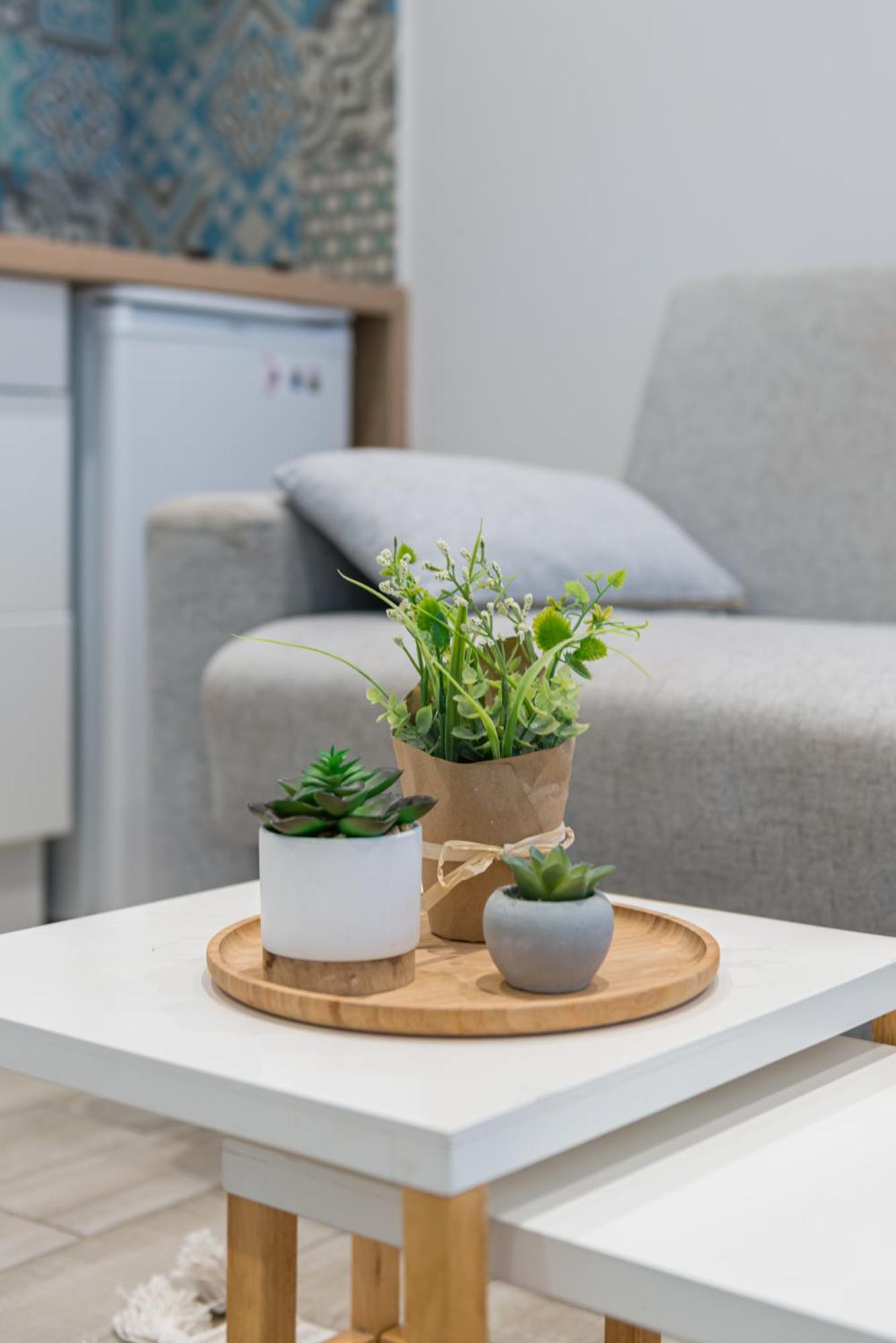 Le Cocon Nicois Apartment