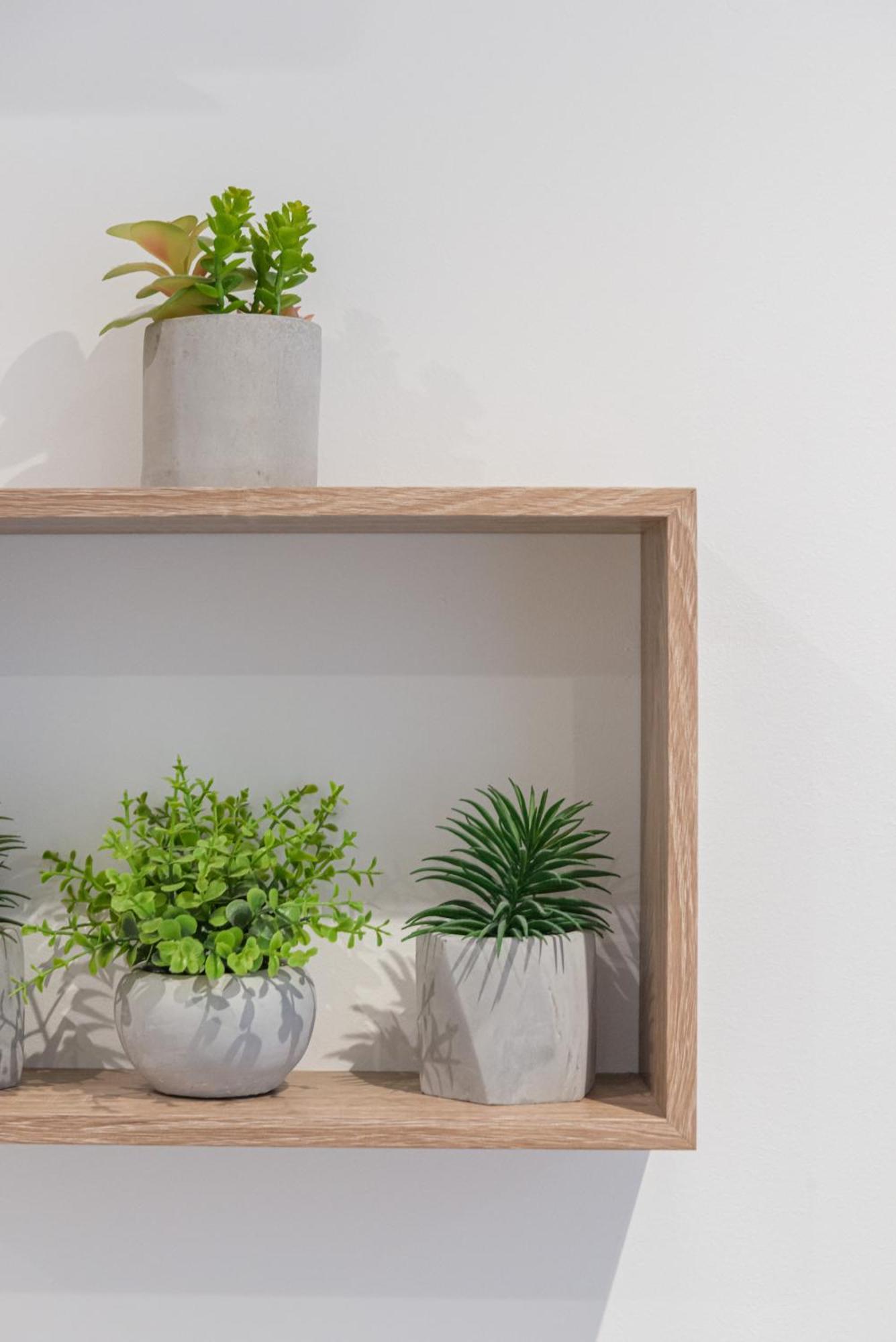 Apartment Le Cocon Nicois Nice