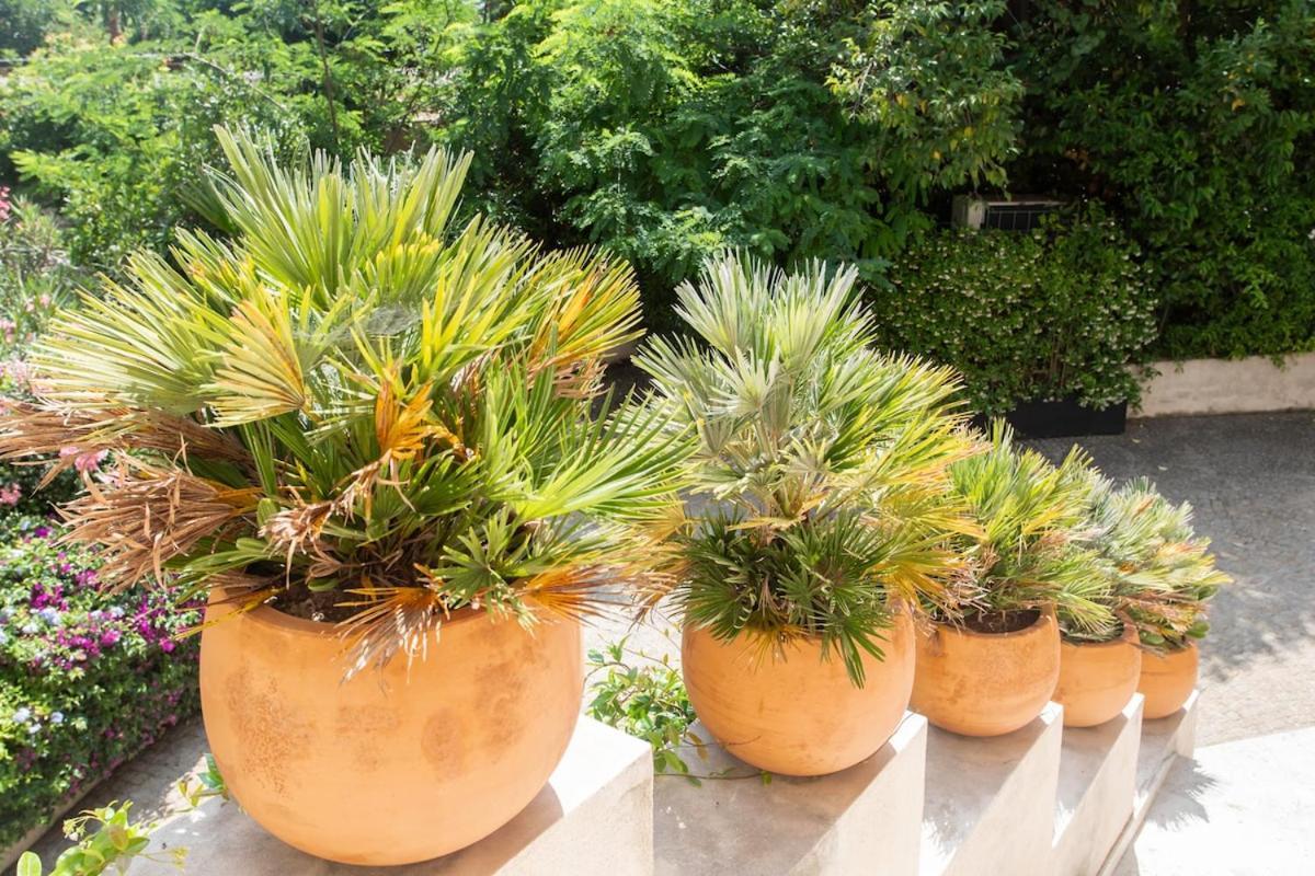 S2 House For 12p Swimming Pool Ac Bbq 10mins From Sea Villa