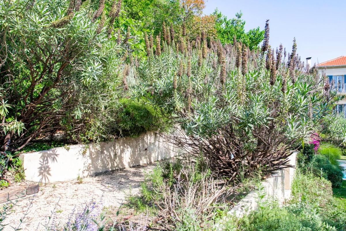 Villa S2 House For 12p Swimming Pool Ac Bbq 10mins From Sea Nice