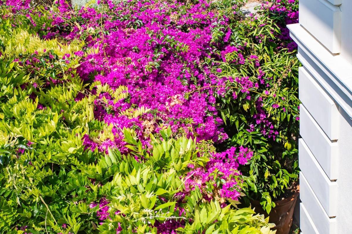 S2 House For 12p Swimming Pool Ac Bbq 10mins From Sea Villa *