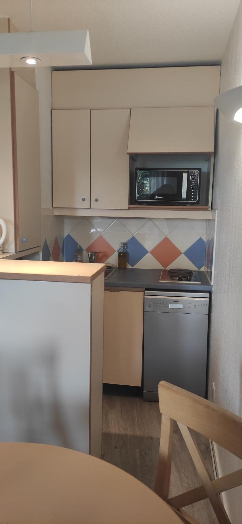 Appartement Palmiers Nice