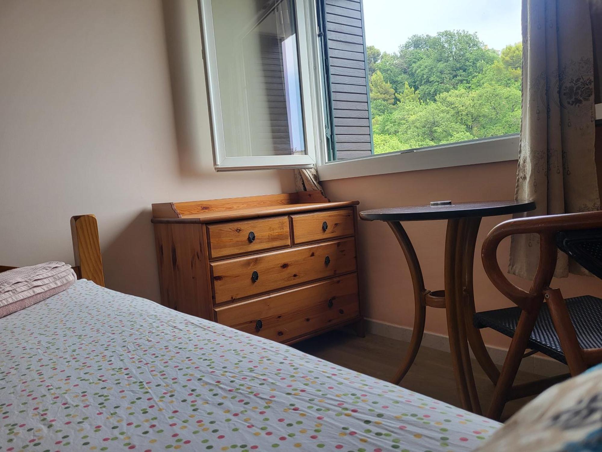 Private Room-1 In Hannana Apartment- 2 Min Walk To Tram 12 Min To Train Station 15 Min To Massena Place *