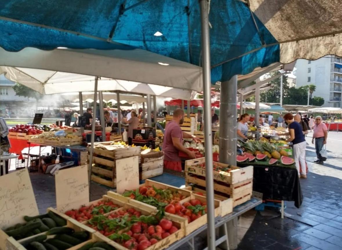 Magnifique Avec Terrasse Et Jardin Apartment Nice
