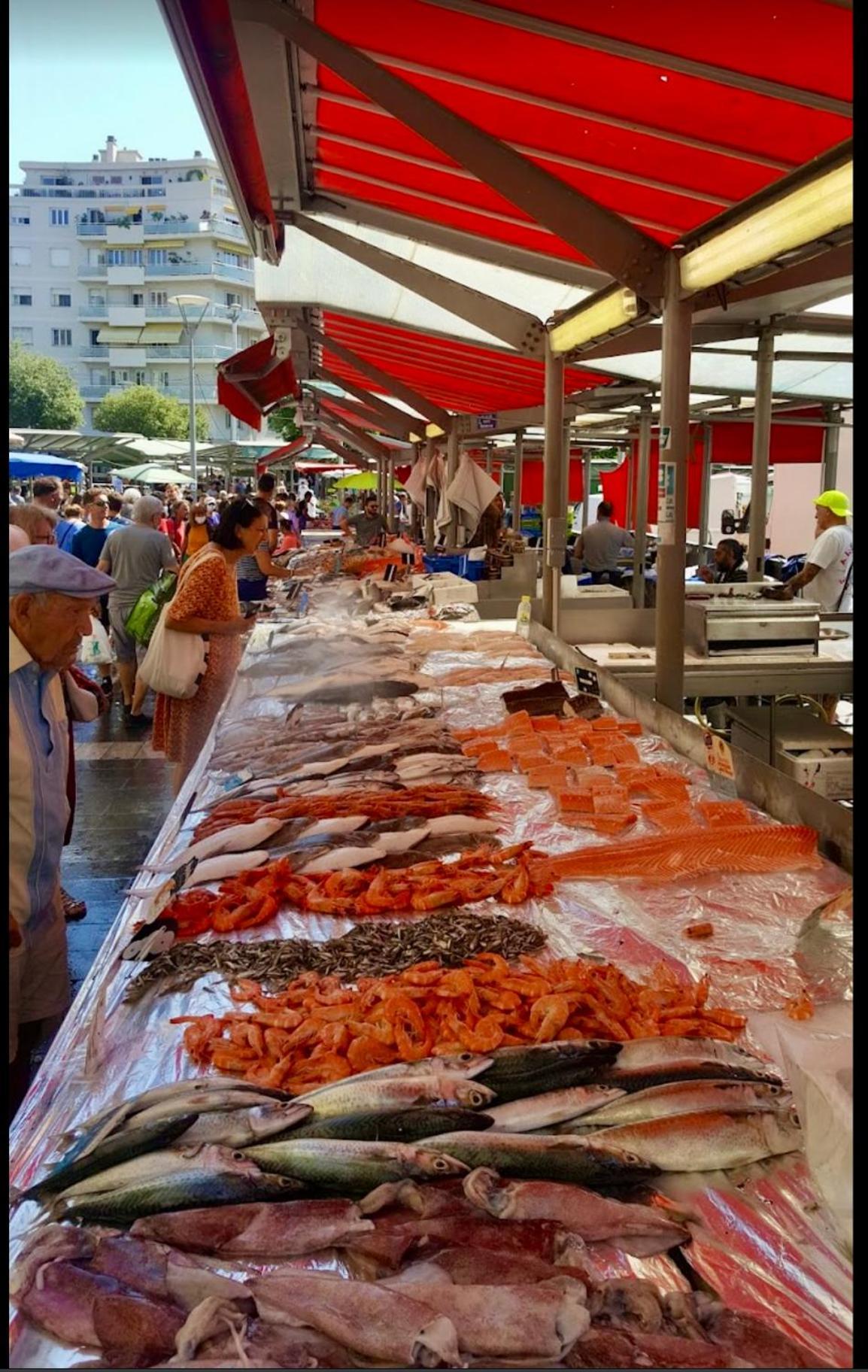 Magnifique Avec Terrasse Et Jardin