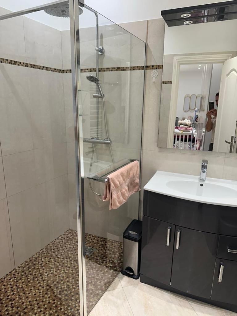 Cosmina Apartment Nice