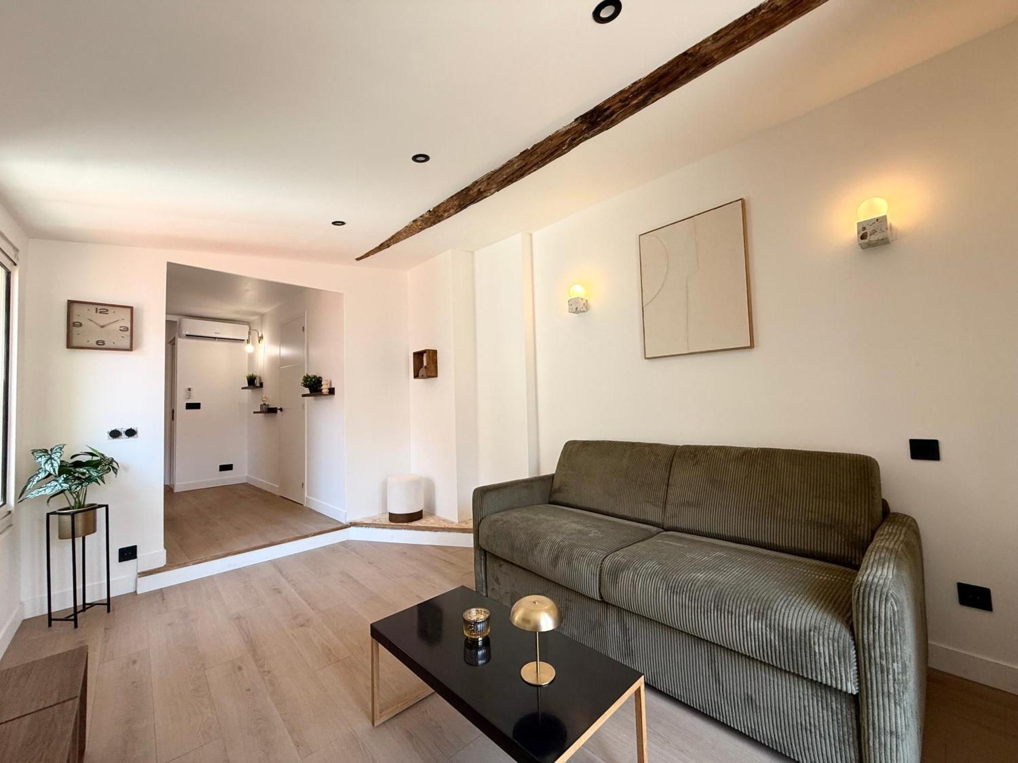 Magnifique Et Lumineux 3 Pieces Dans Le Carre Dor Apartment *