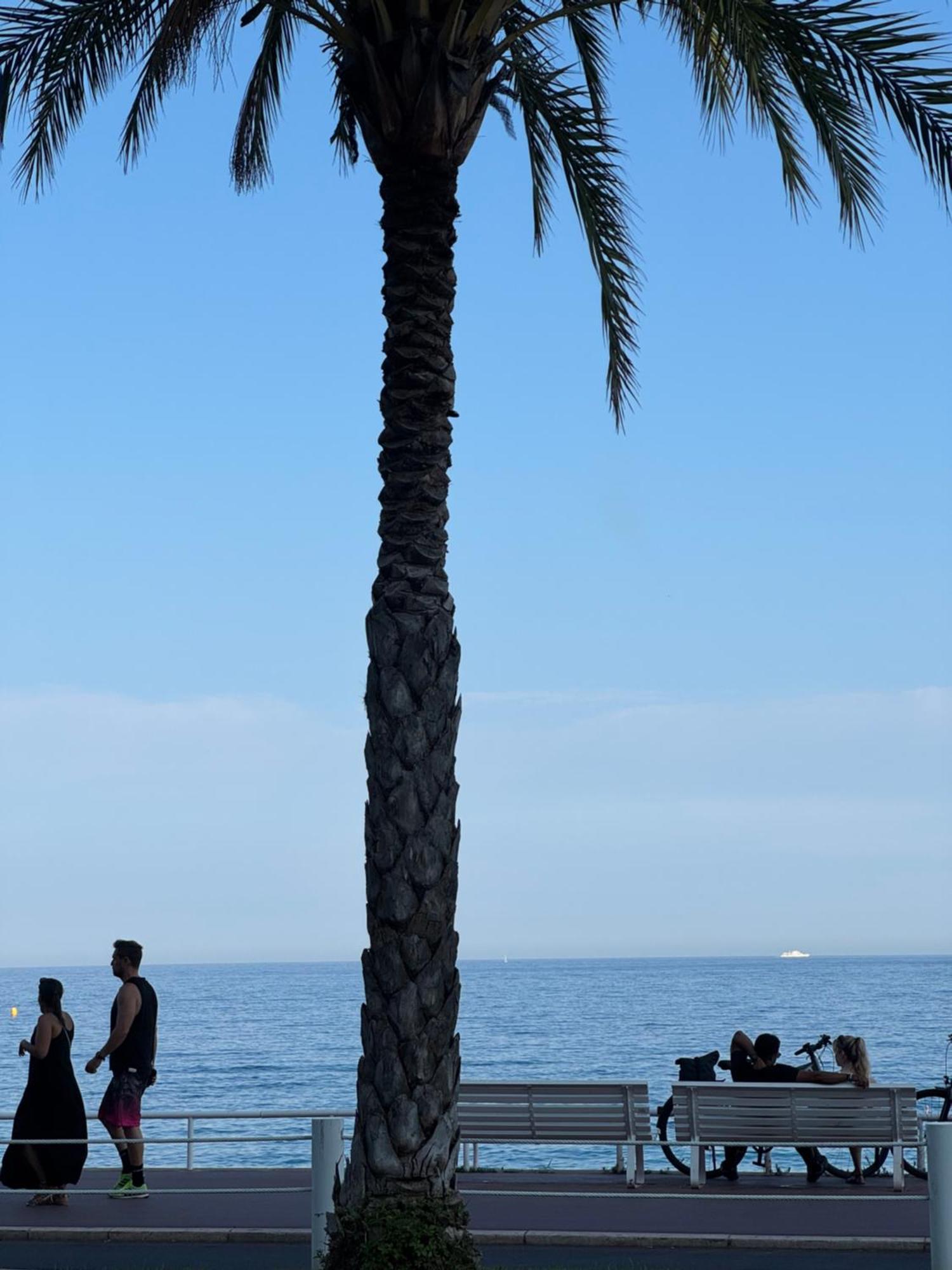 Apartment Promenade Des &