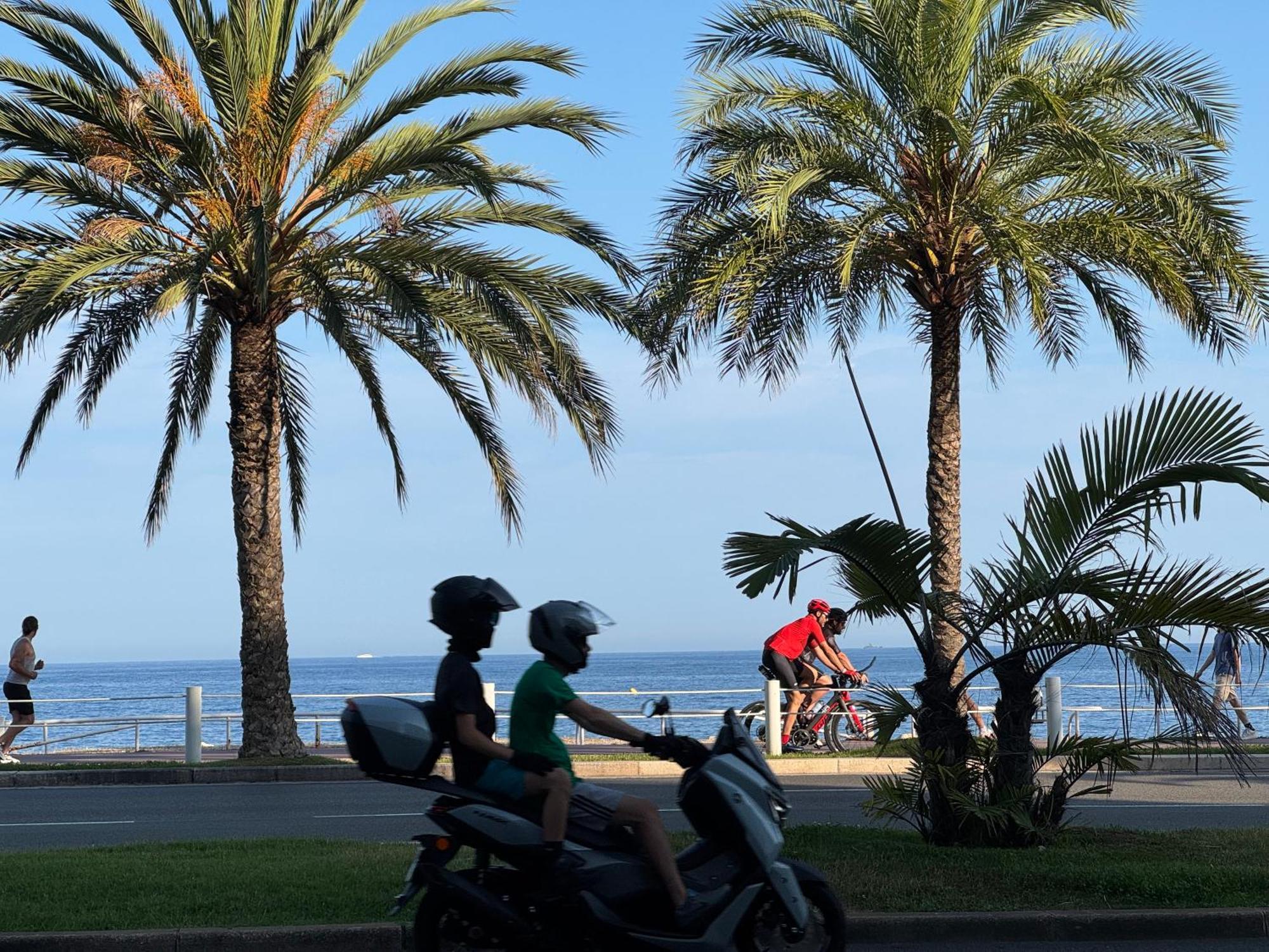 Promenade Des & Apartment