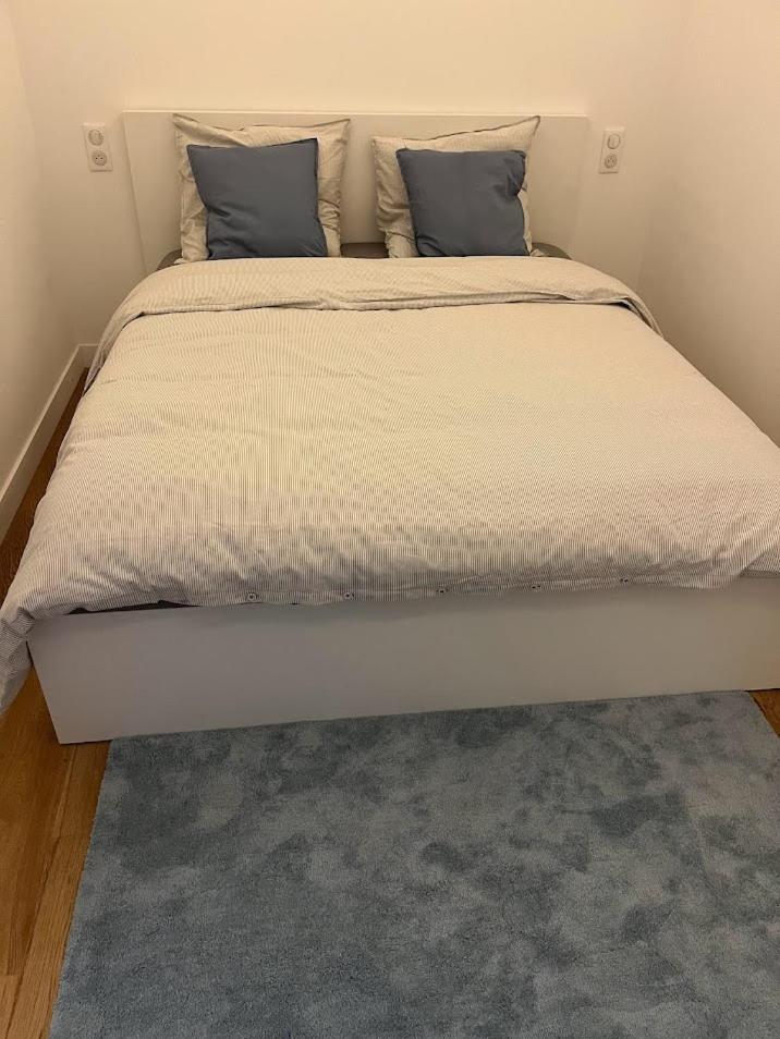 Apartment Centre Nice