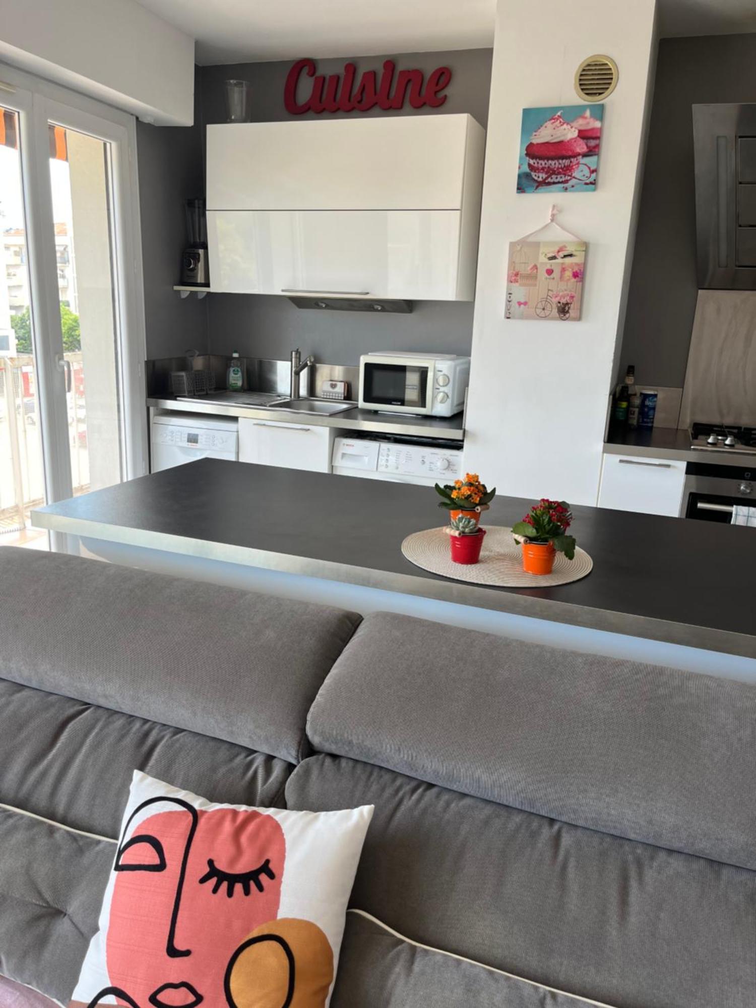 Tres Beau 3 Pieces Spacieux Lumineux Et Climatise * Nice