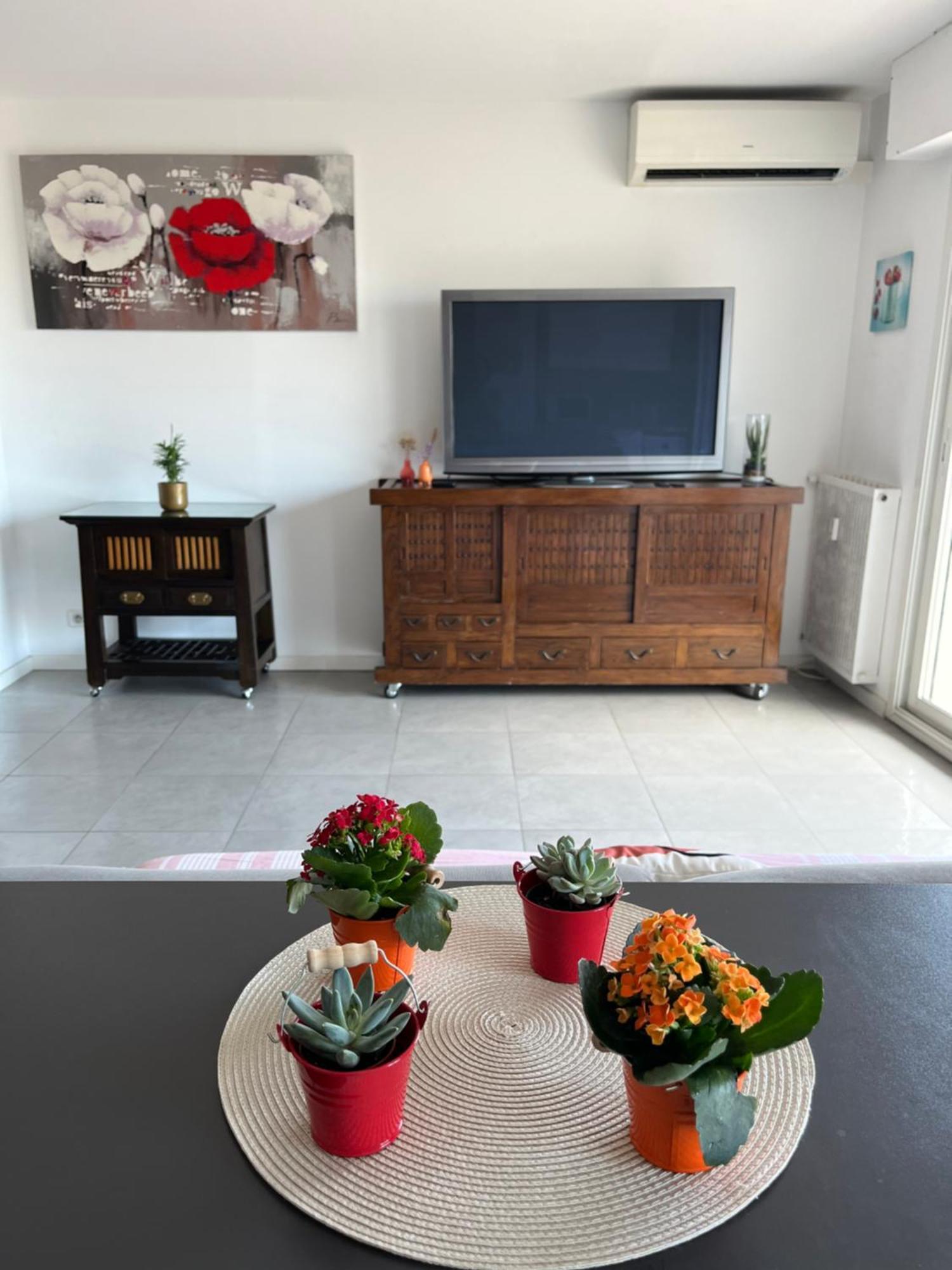 Apartment Tres Beau 3 Pieces Spacieux Lumineux Et Climatise Nice