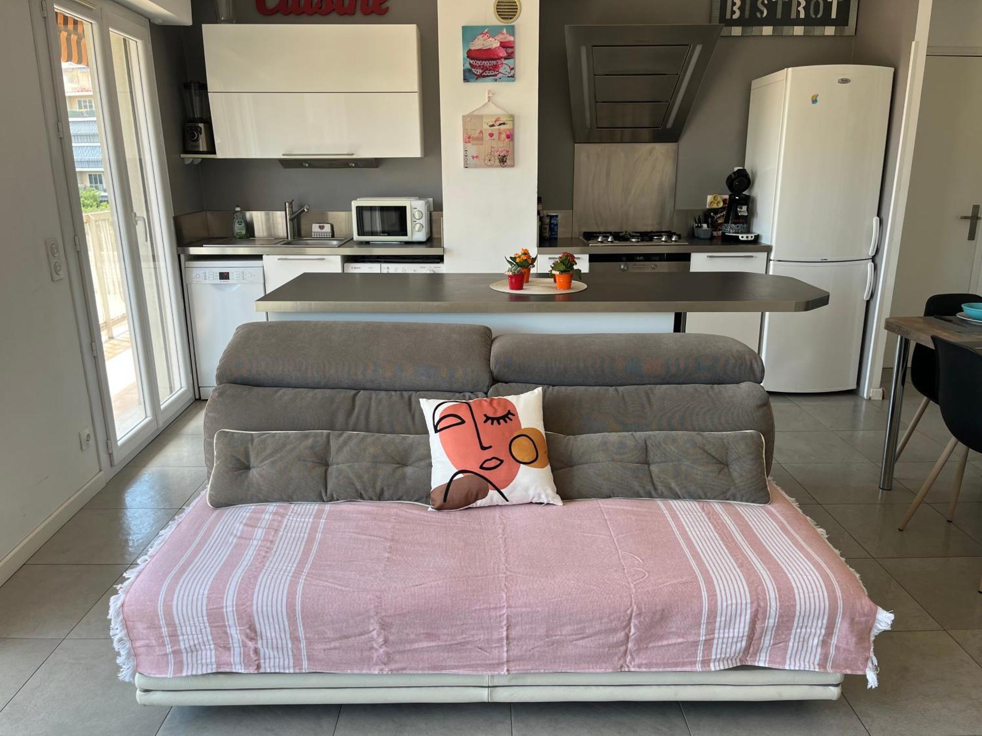 Apartment Tres Beau 3 Pieces Spacieux Lumineux Et Climatise