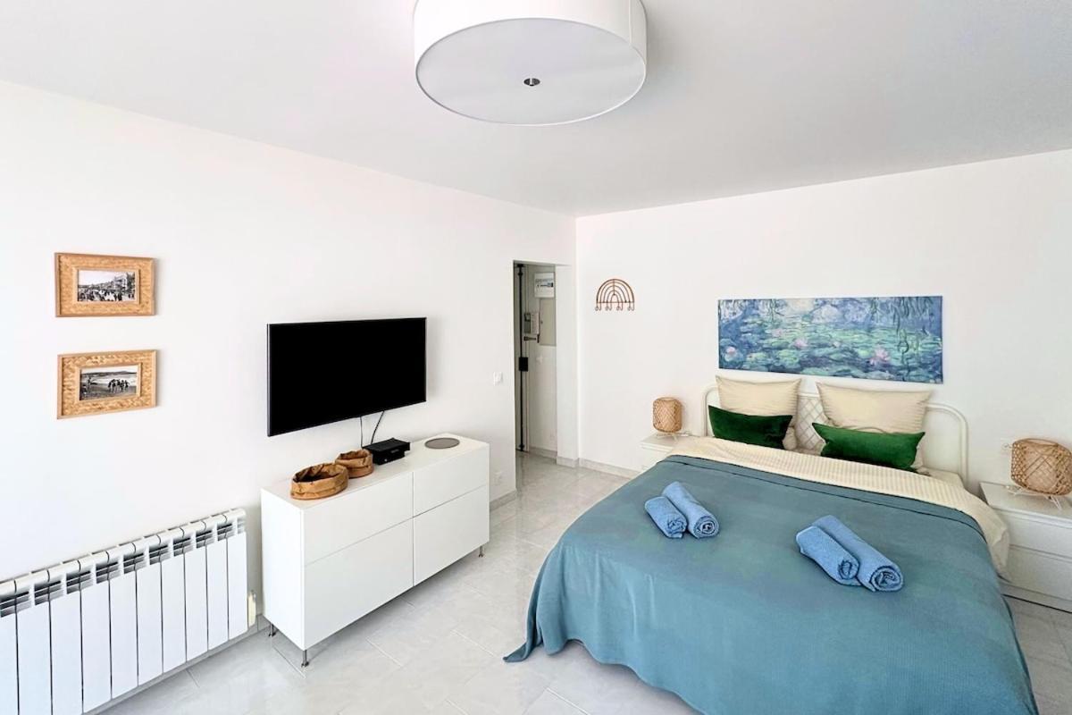Magnifique Le Renoir Proche Nice