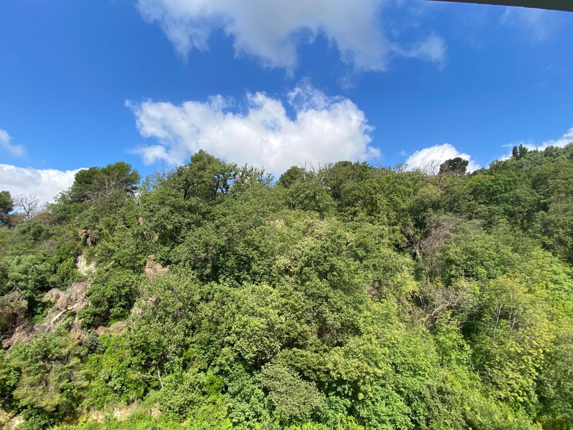 Apartment Grand Appartments Sappia