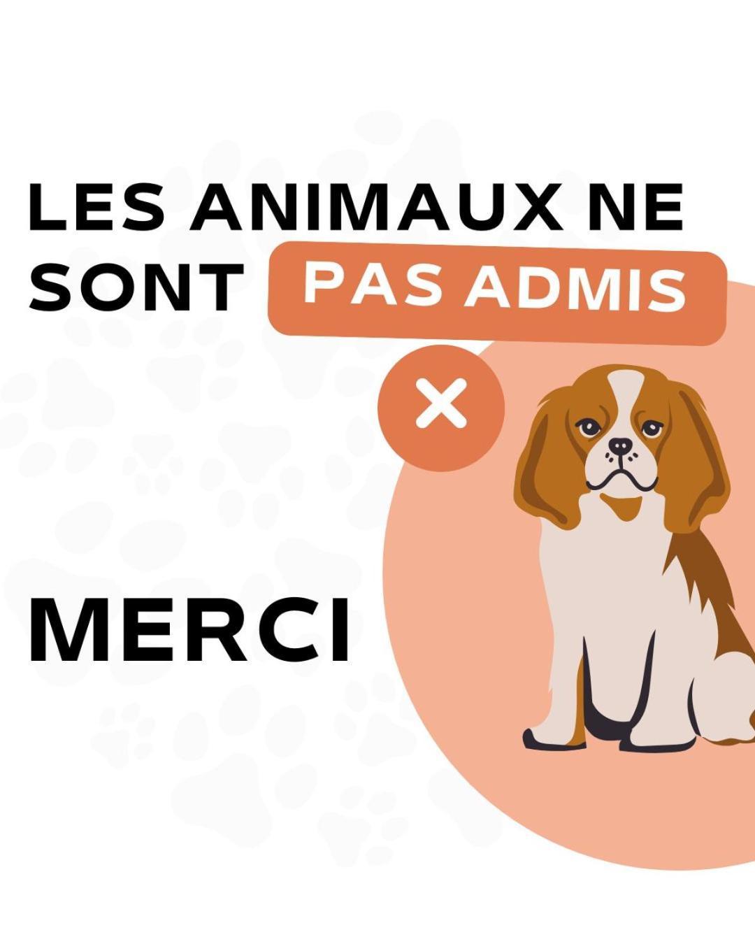 Flots D'azur Promenade Des Hotel