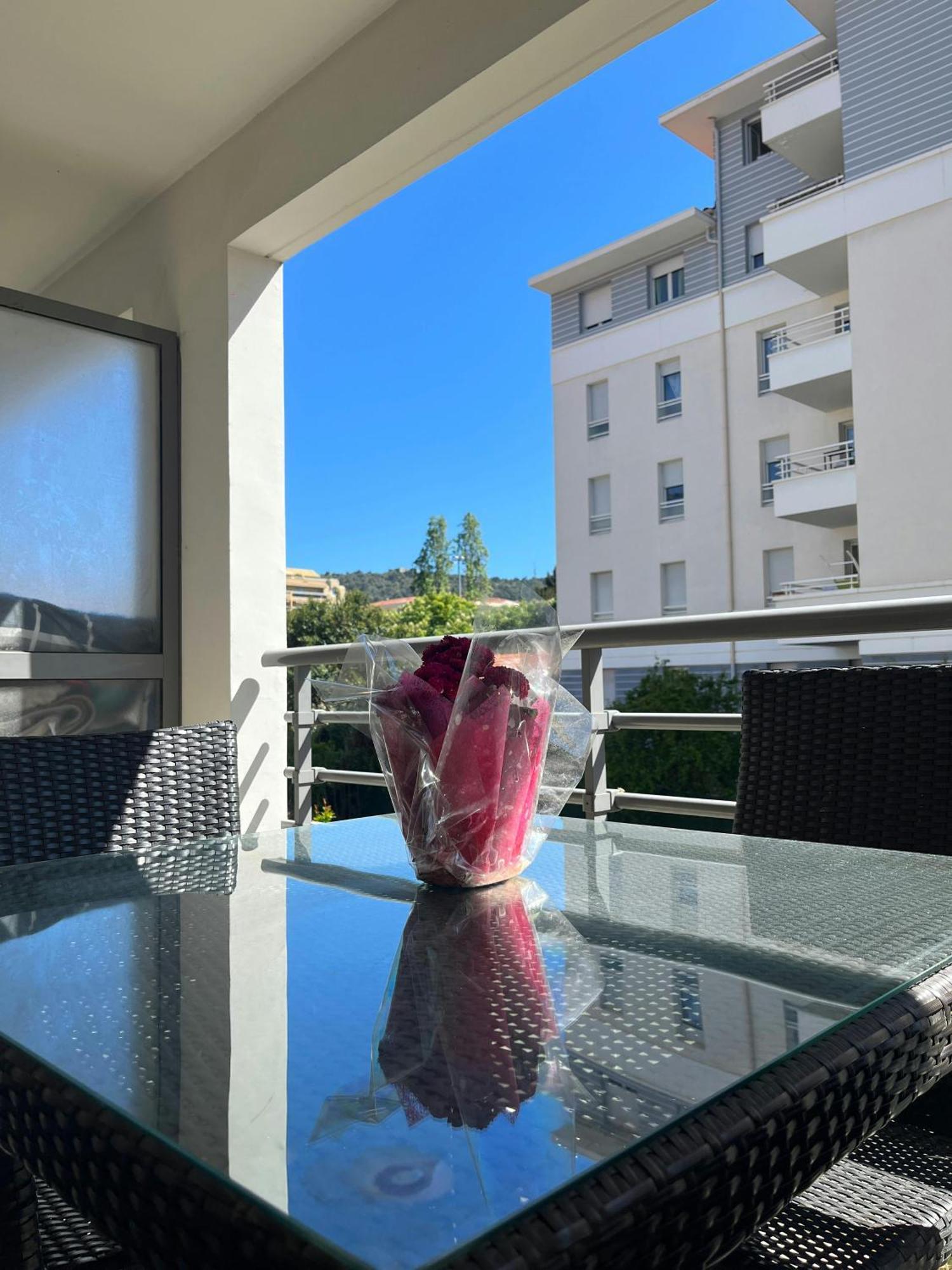 Le Vauban - Clime - Terrasse - Port -plages - Commerces Apartment Nice