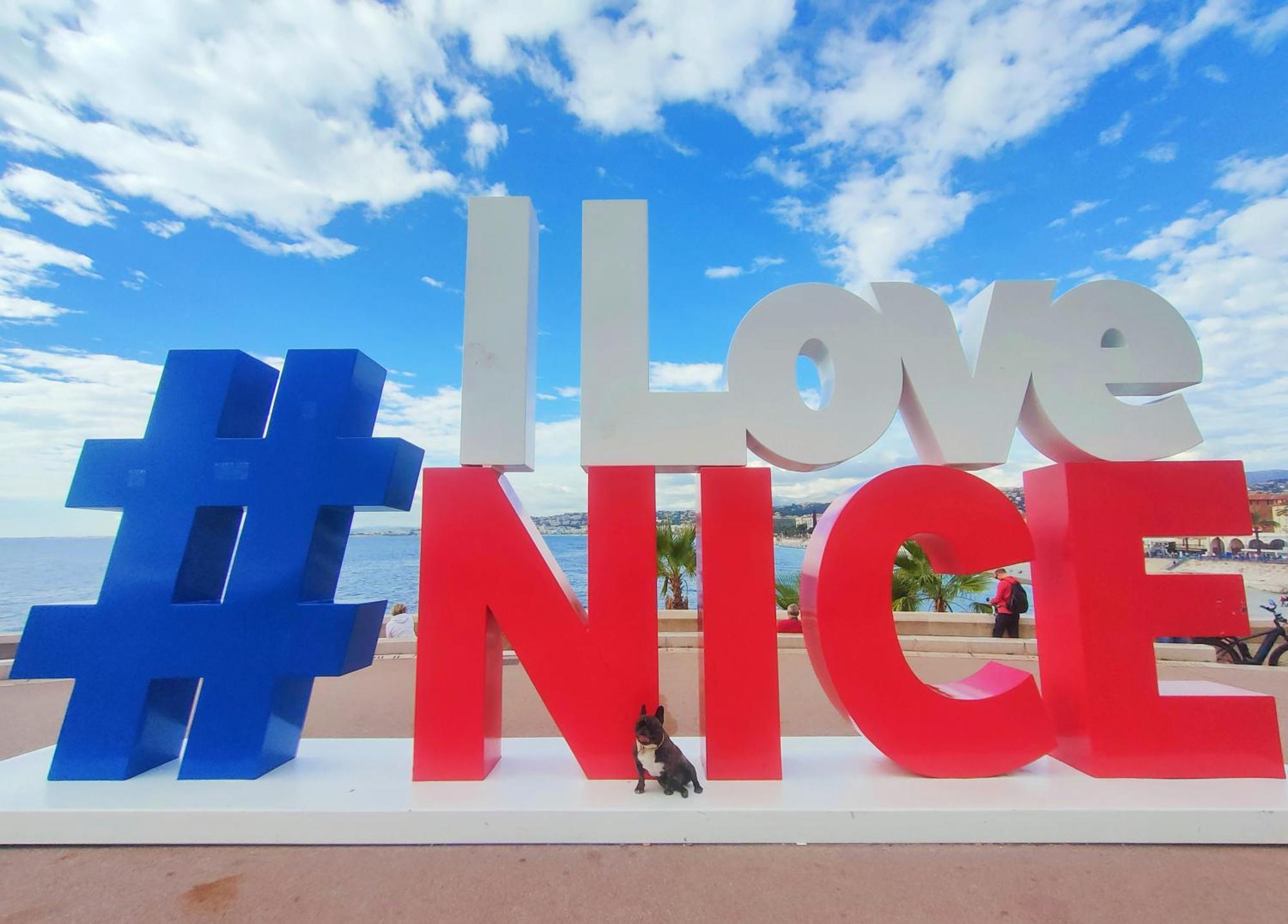 Stunning 2 Bedroom With Terrace And Sea View, Cimiez Liberation Apartment *